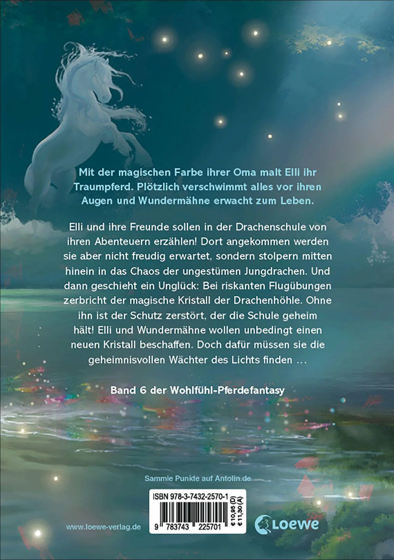 Bild: 9783743225701 | Wundermähne (Band 6) - Der Zauber der Wasserpferde | Jana Hoch | Buch