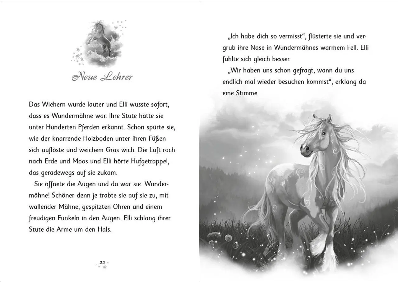 Bild: 9783743225701 | Wundermähne (Band 6) - Der Zauber der Wasserpferde | Jana Hoch | Buch