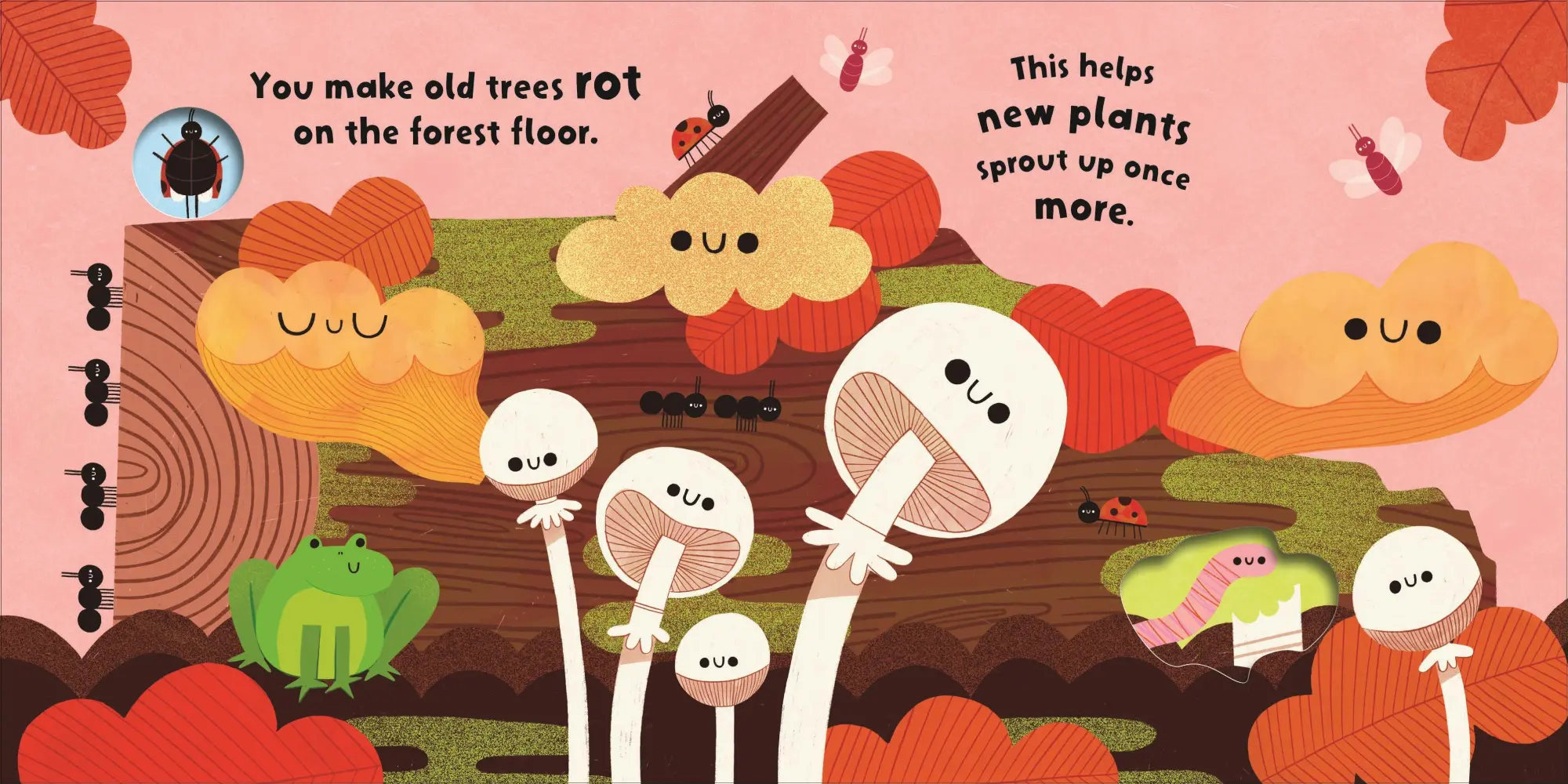 Bild: 9781684495801 | Fungi Friends (Nature Heroes) | Neon Squid | Buch | 12 S. | Englisch