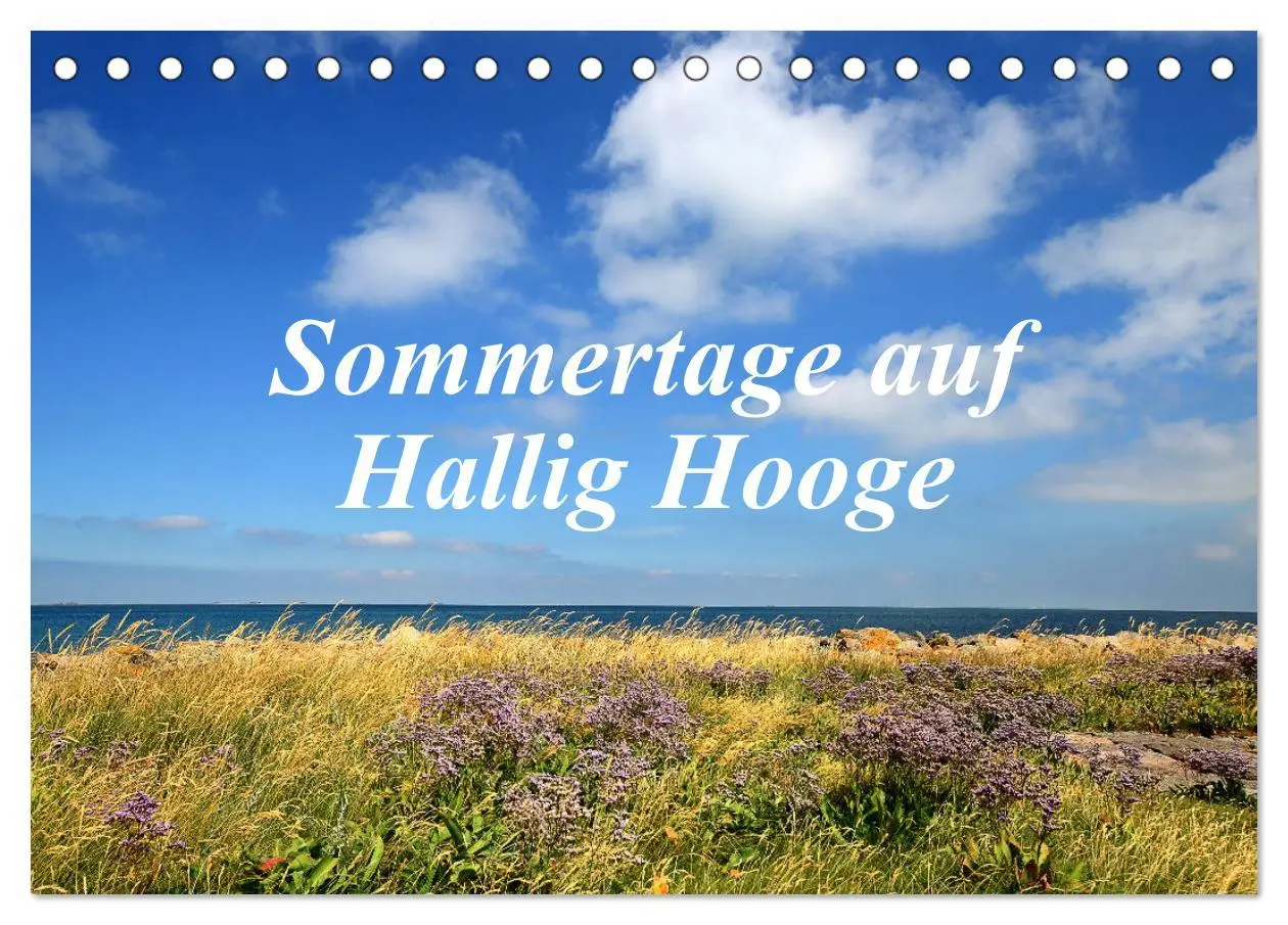 Cover: 9783435255801 | Sommertage auf Hallig Hooge (Tischkalender 2025 DIN A5 quer),...