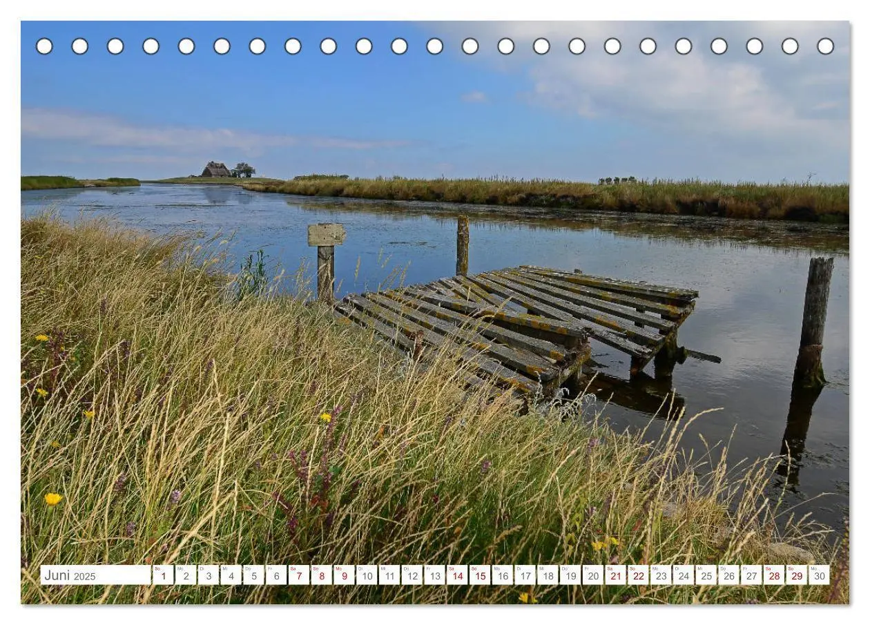 Bild: 9783435255801 | Sommertage auf Hallig Hooge (Tischkalender 2025 DIN A5 quer),...