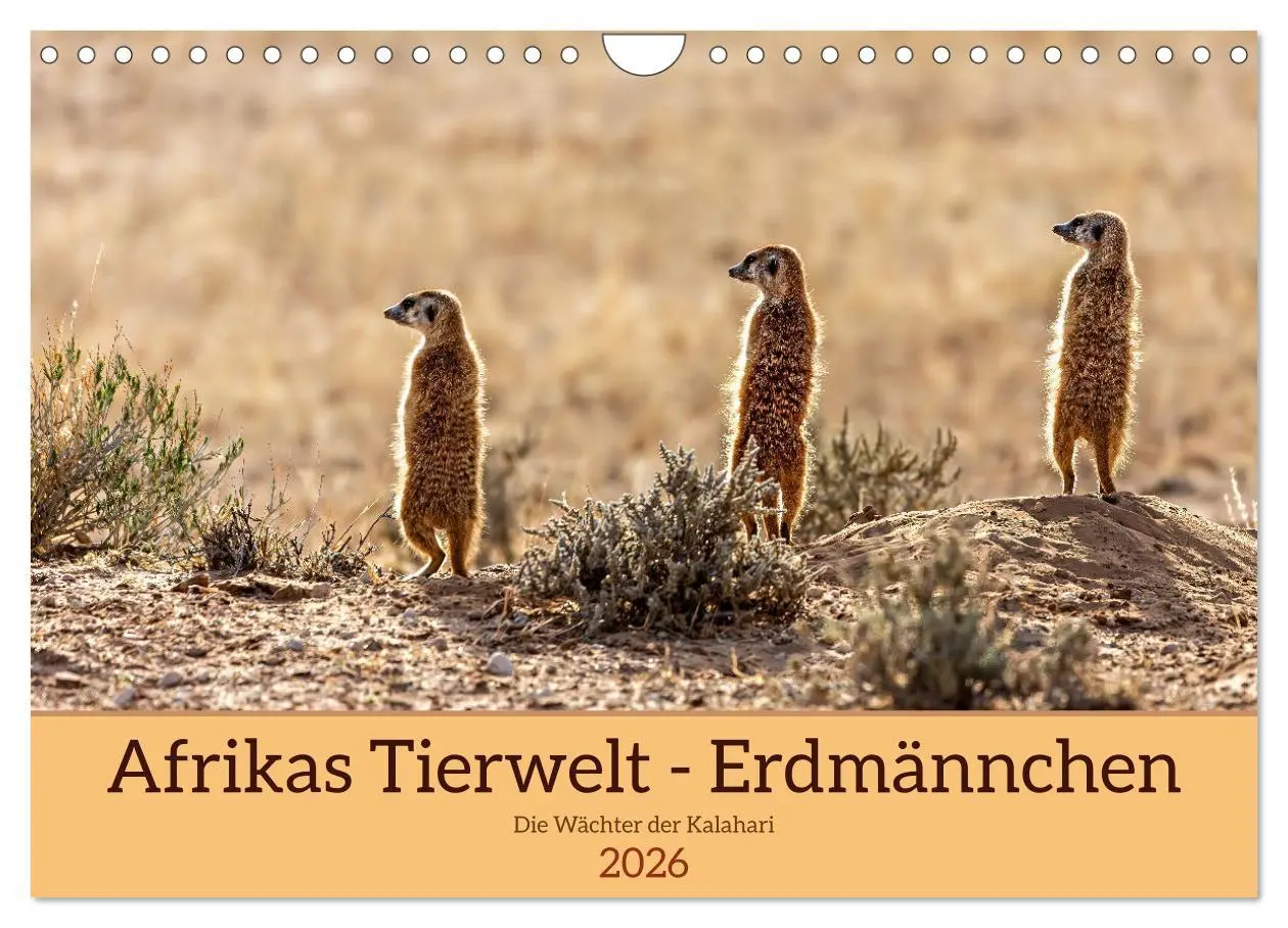 Cover: 9783457345801 | Afrikas Tierwelt - Erdmännchen (Wandkalender 2026 DIN A4 quer),...