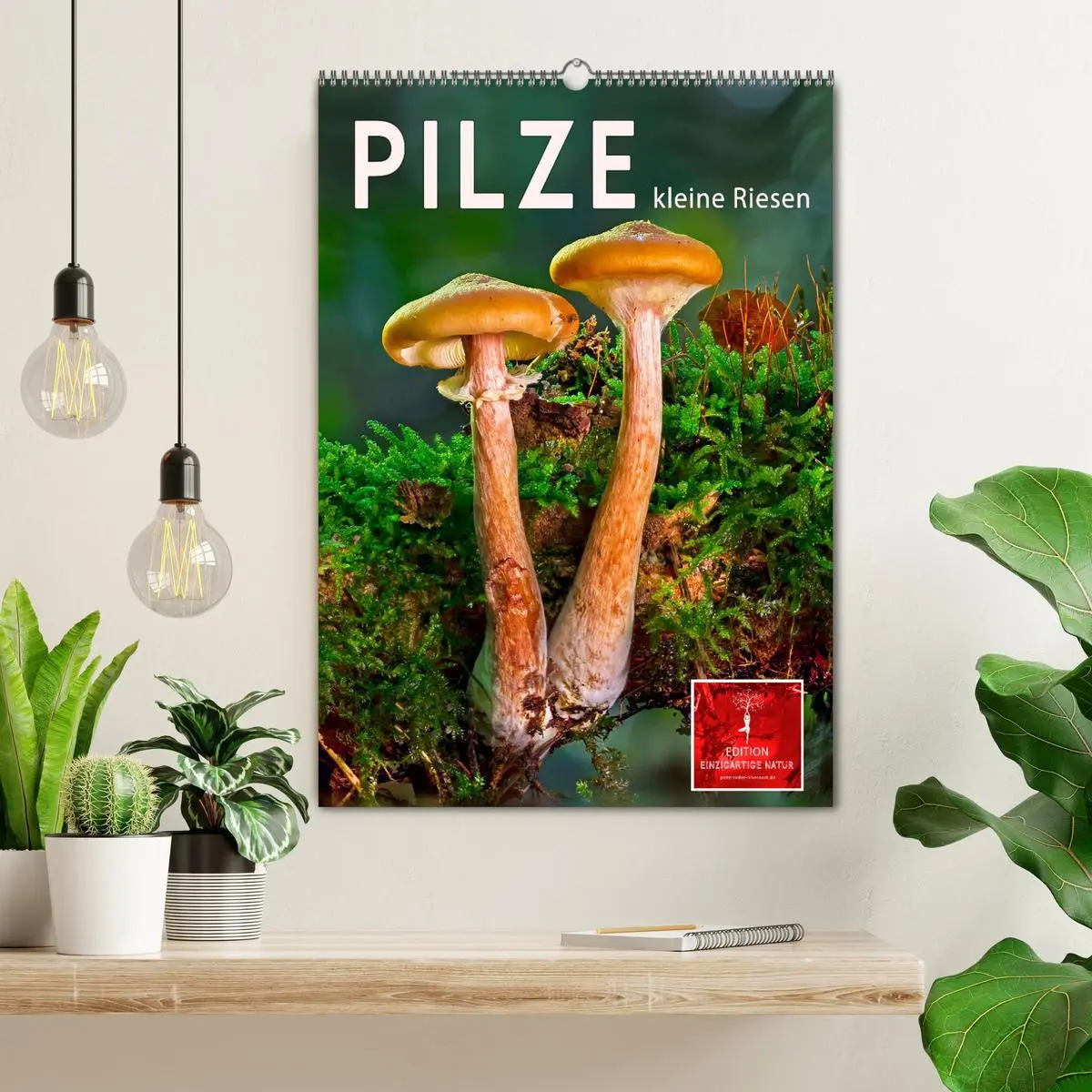 Bild: 9783516365801 | Pilze - kleine Riesen (Wandkalender 2026 DIN A2 hoch), CALVENDO...