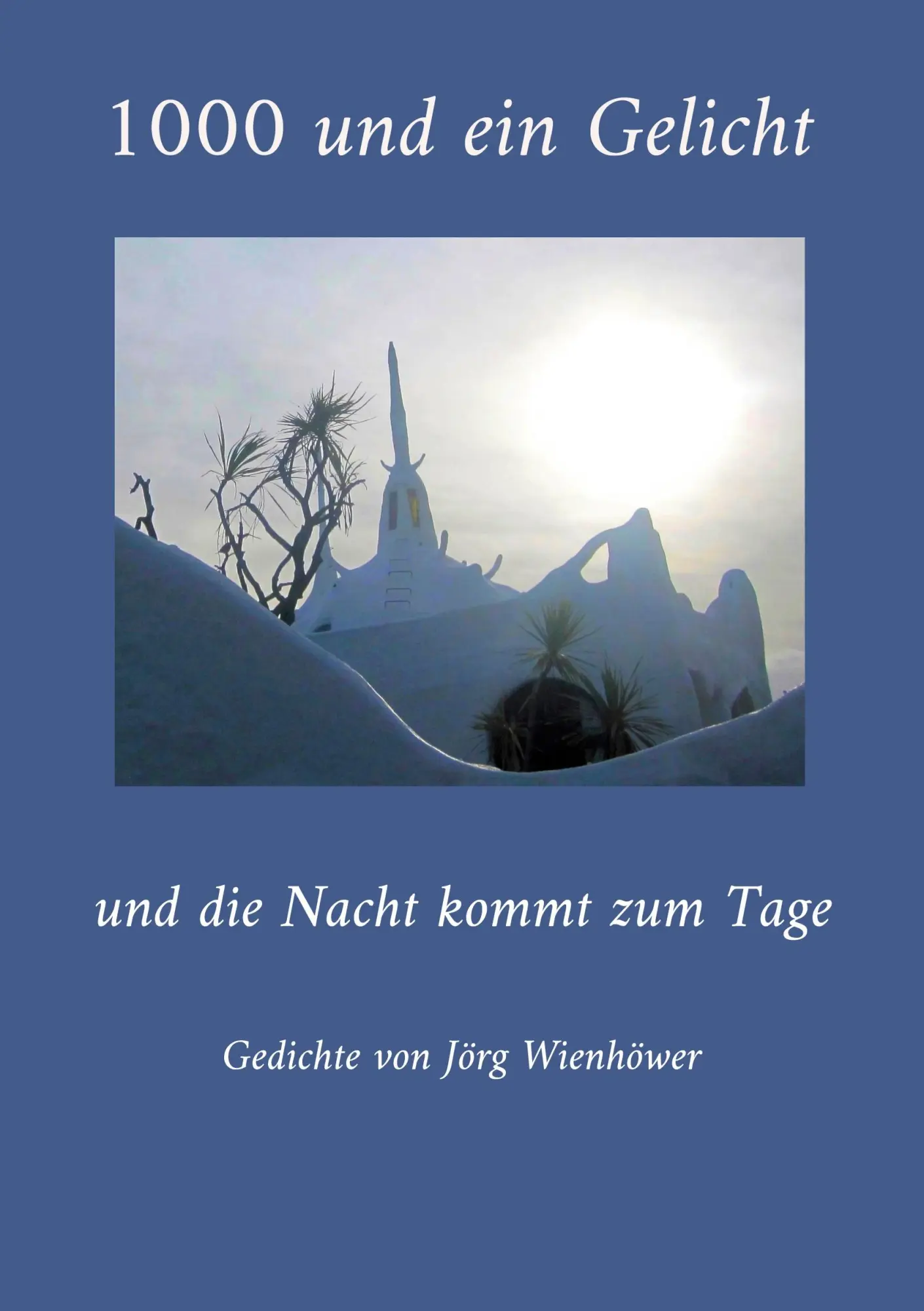 Cover: 9783695185801 | 1000 und ein Gelicht | und die Nacht kommt zum Tage | Jörg Wienhöwer