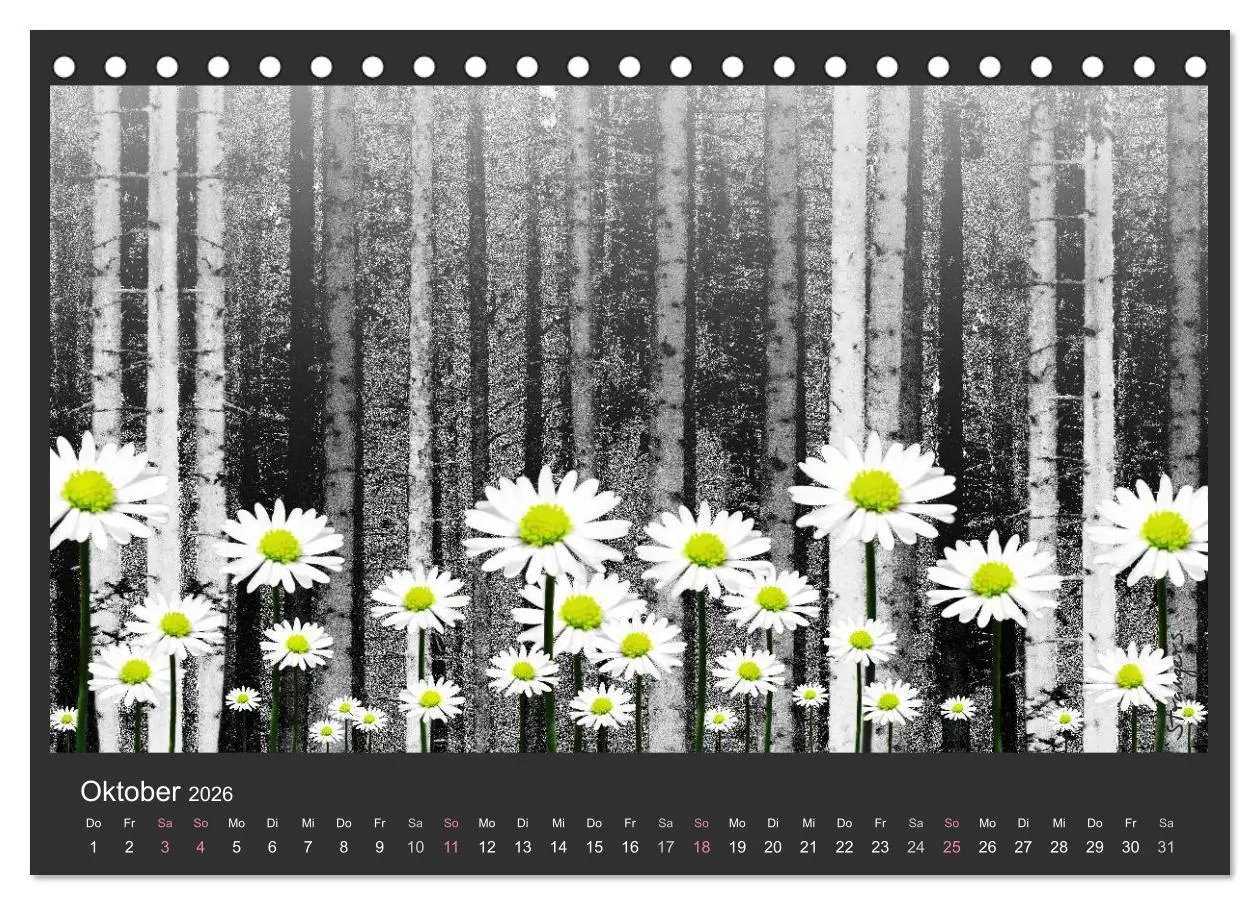 Bild: 9783516115901 | Schwarzwald. Anders. (Tischkalender 2026 DIN A5 quer), CALVENDO...