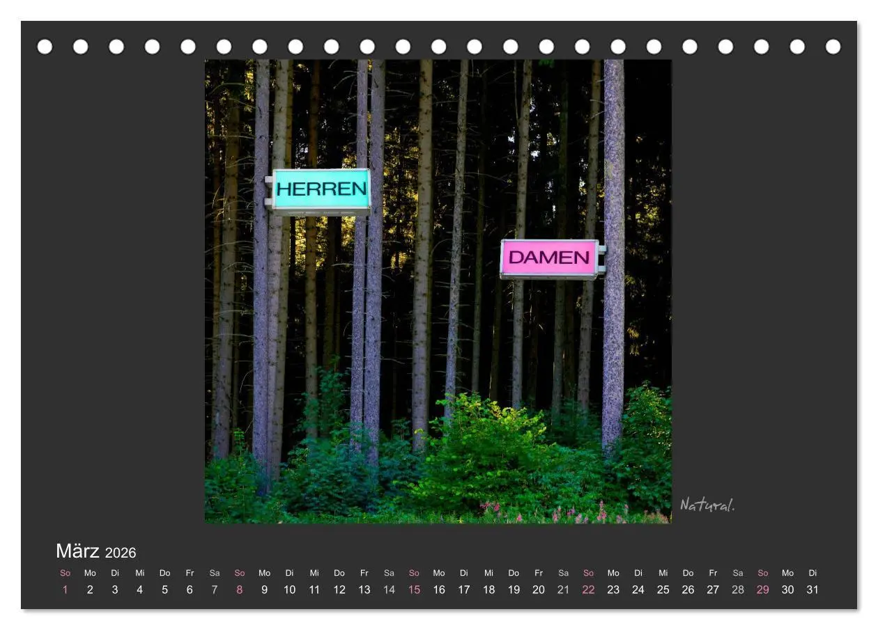 Bild: 9783516115901 | Schwarzwald. Anders. (Tischkalender 2026 DIN A5 quer), CALVENDO...