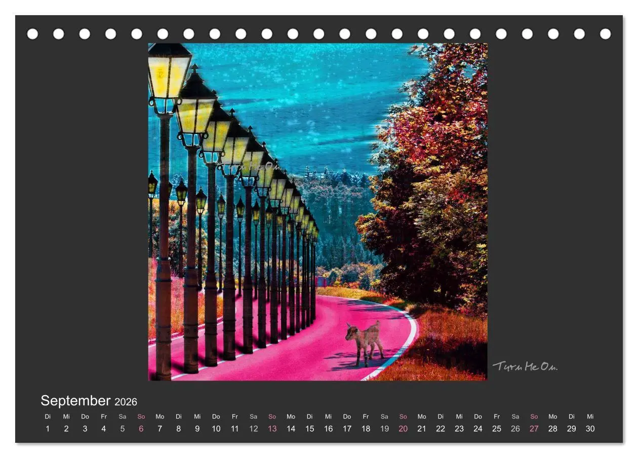 Bild: 9783516115901 | Schwarzwald. Anders. (Tischkalender 2026 DIN A5 quer), CALVENDO...