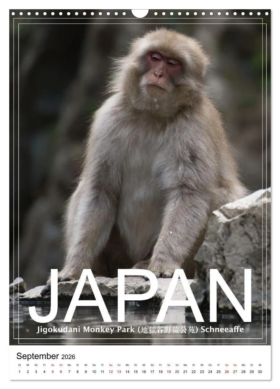 Bild: 9783516735901 | Japan PosterArt 2024 (Wandkalender 2026 DIN A3 hoch), CALVENDO...