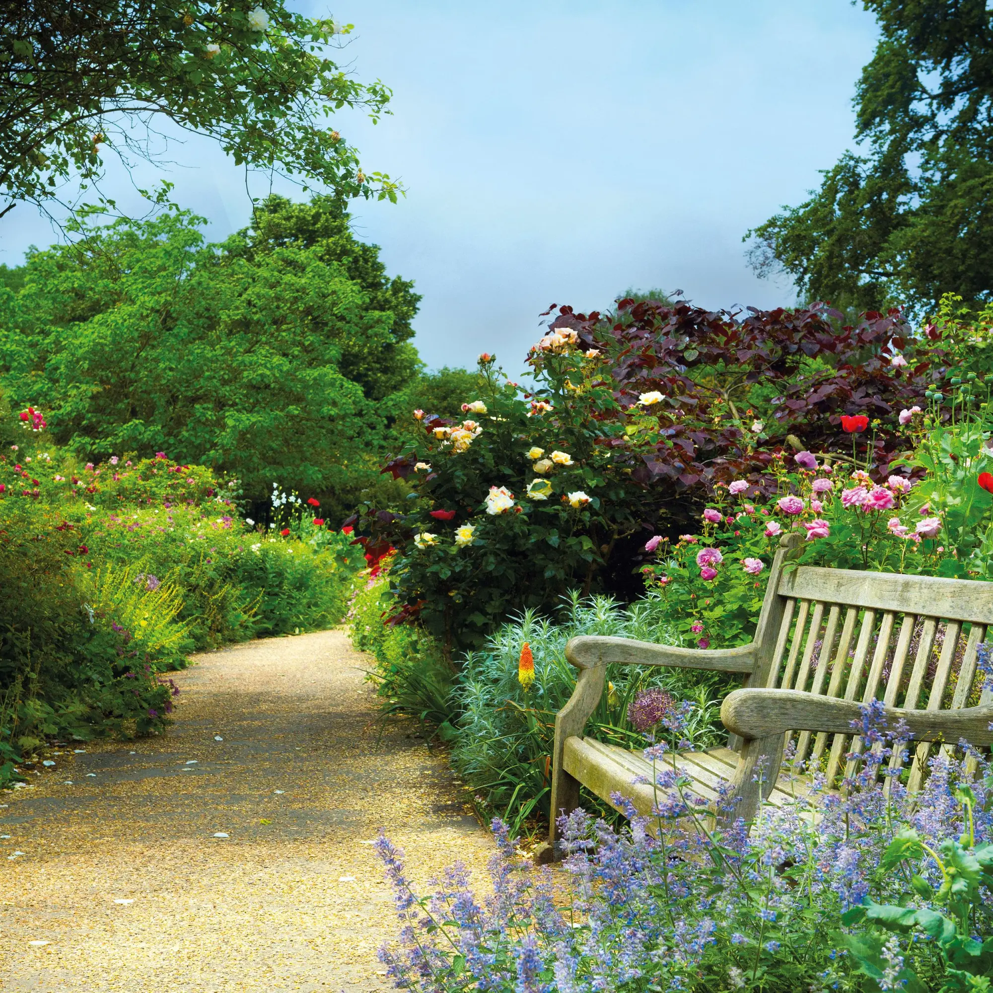 Bild: 9783959295901 | Bauerngarten/Cottage Garden 2026 | Kalender 2026 | Kalender | 28 S.