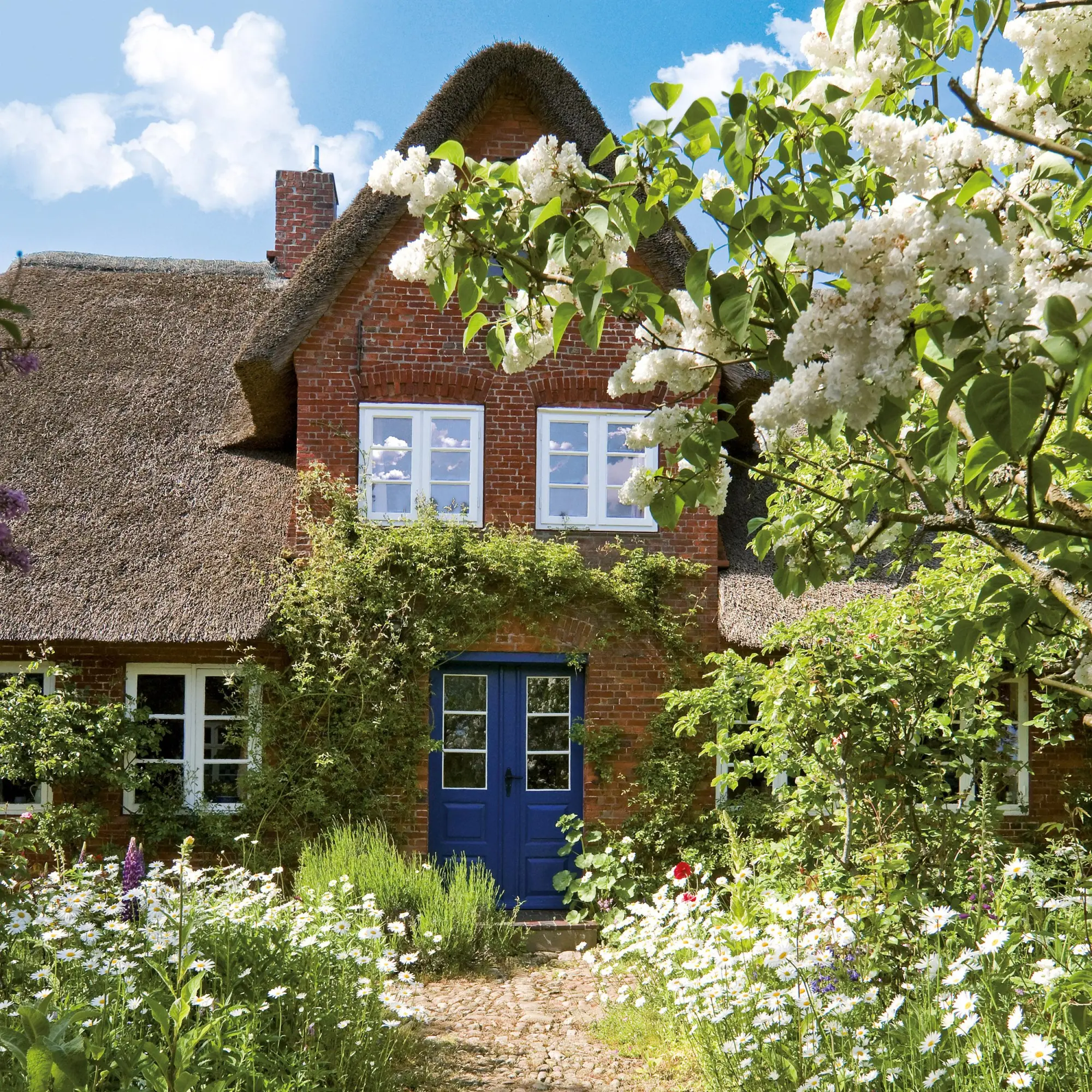Bild: 9783959295901 | Bauerngarten/Cottage Garden 2026 | Kalender 2026 | Kalender | 28 S.