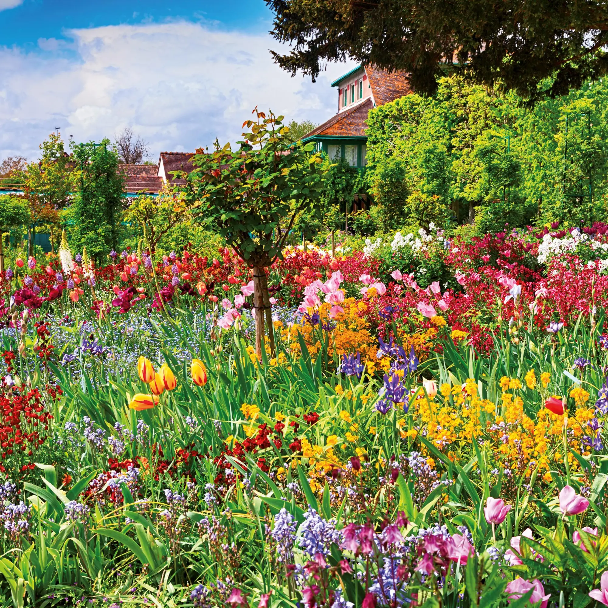 Bild: 9783959295901 | Bauerngarten/Cottage Garden 2026 | Kalender 2026 | Kalender | 28 S.