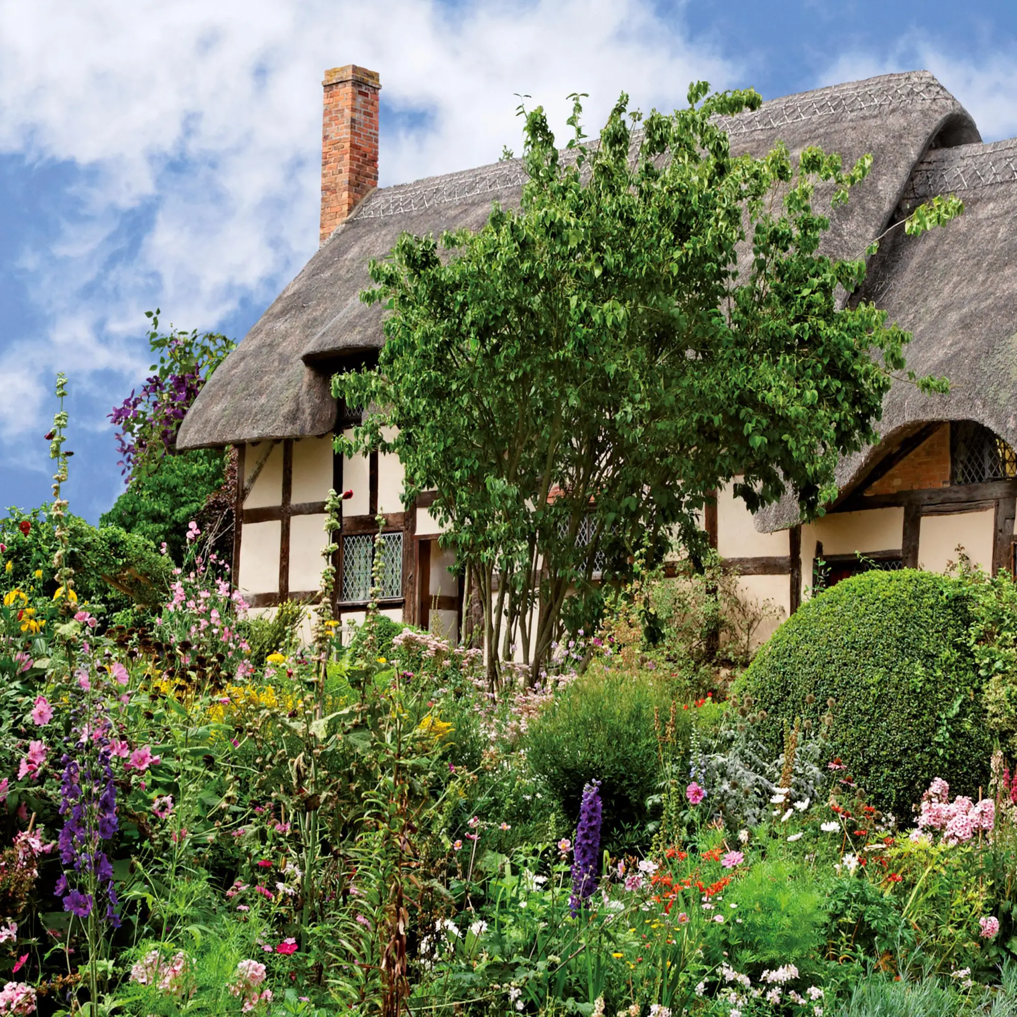 Bild: 9783959295901 | Bauerngarten/Cottage Garden 2026 | Kalender 2026 | Kalender | 28 S.