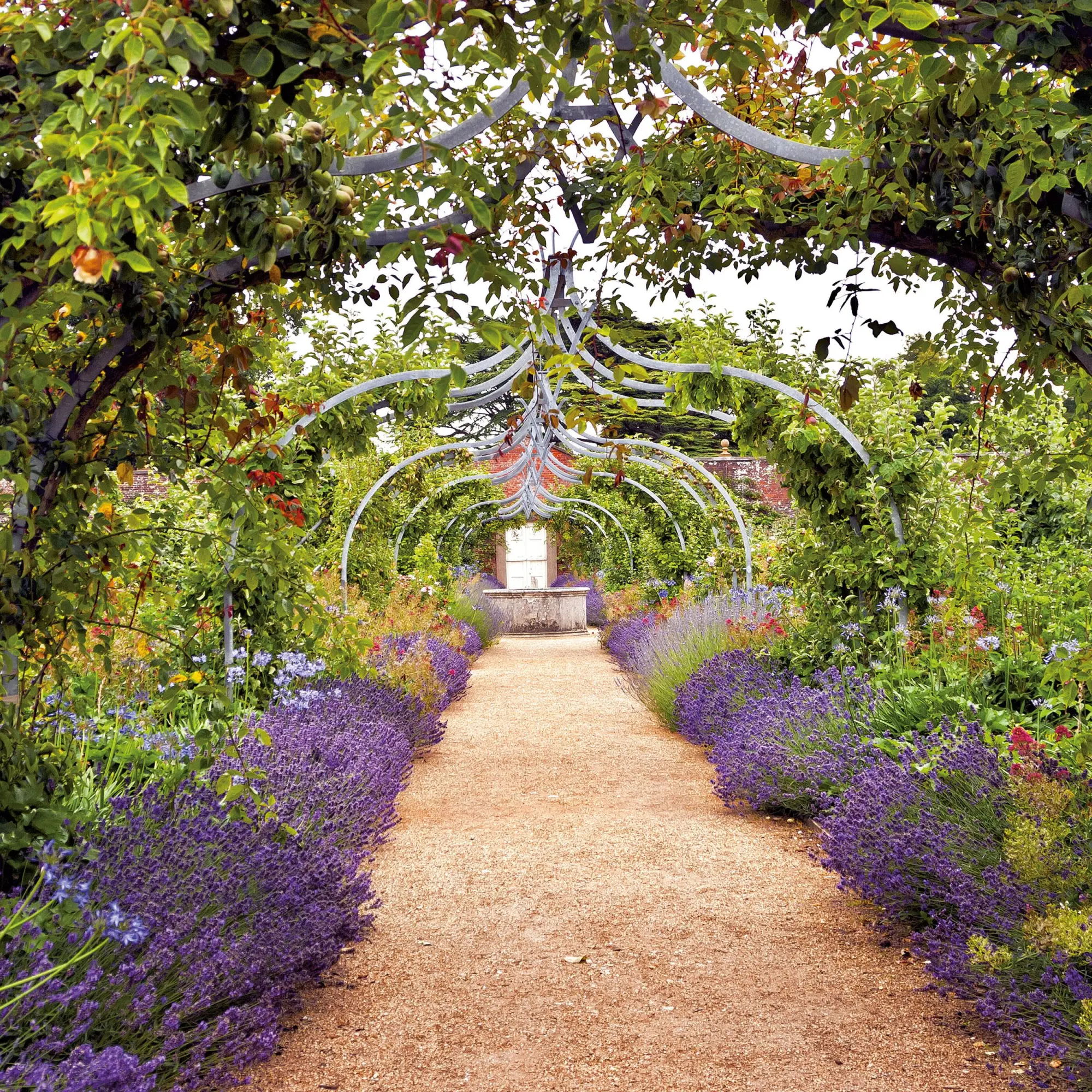 Bild: 9783959295901 | Bauerngarten/Cottage Garden 2026 | Kalender 2026 | Kalender | 28 S.