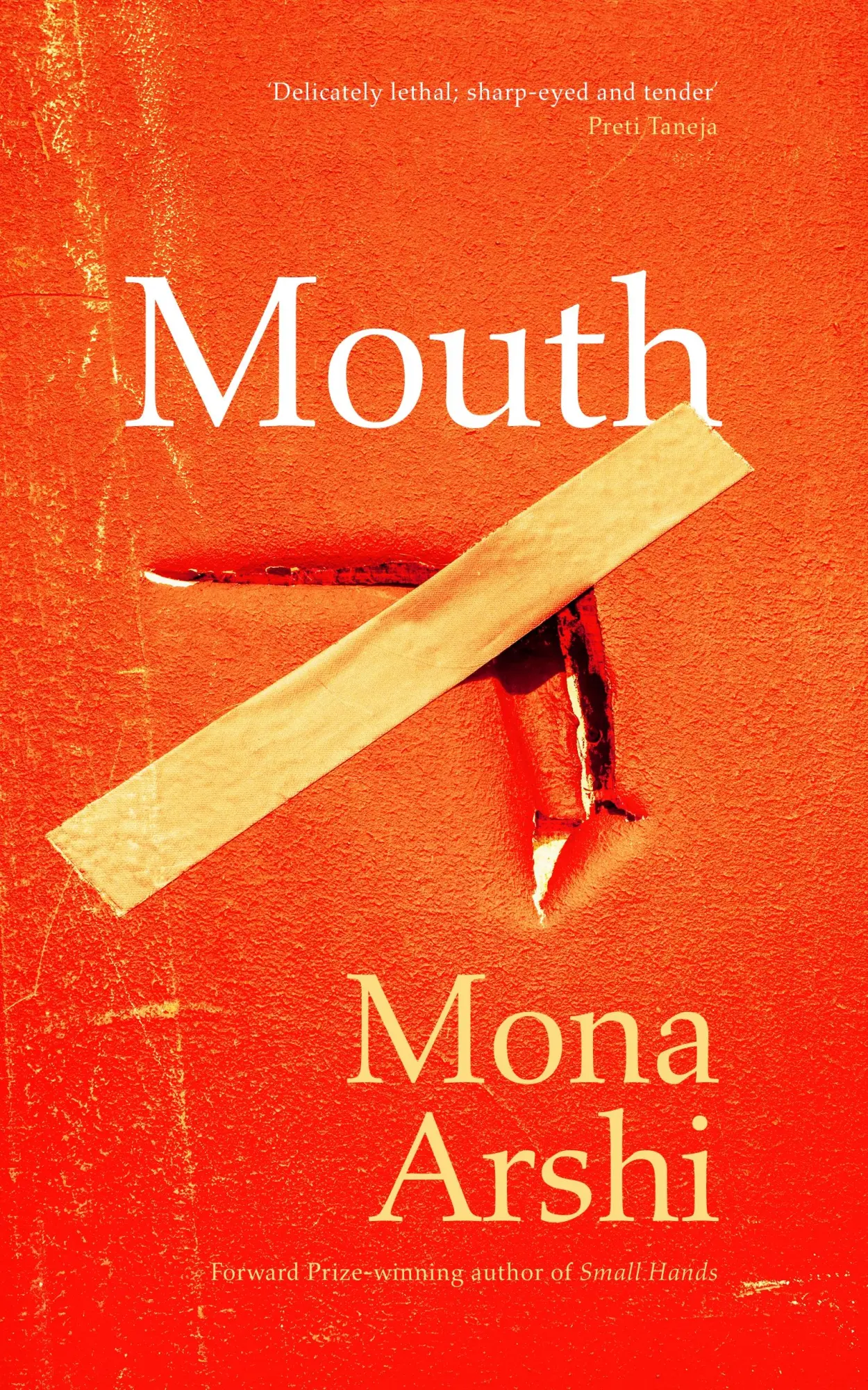 Cover: 9781784746001 | Mouth | Mona Arshi | Taschenbuch | Englisch | 2025 | EAN 9781784746001