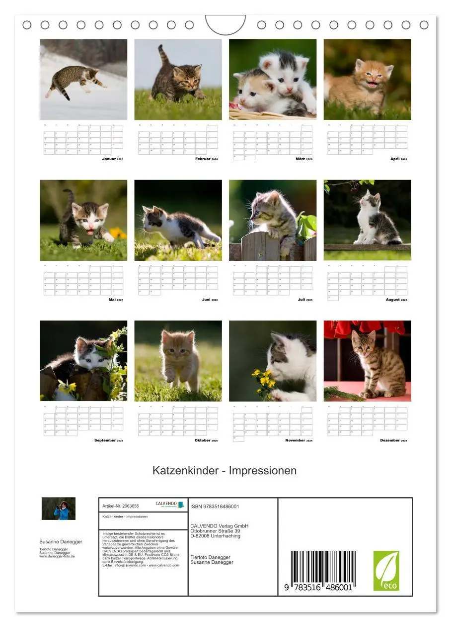 Bild: 9783516486001 | Katzenkinder - Impressionen (Wandkalender 2026 DIN A4 hoch),...