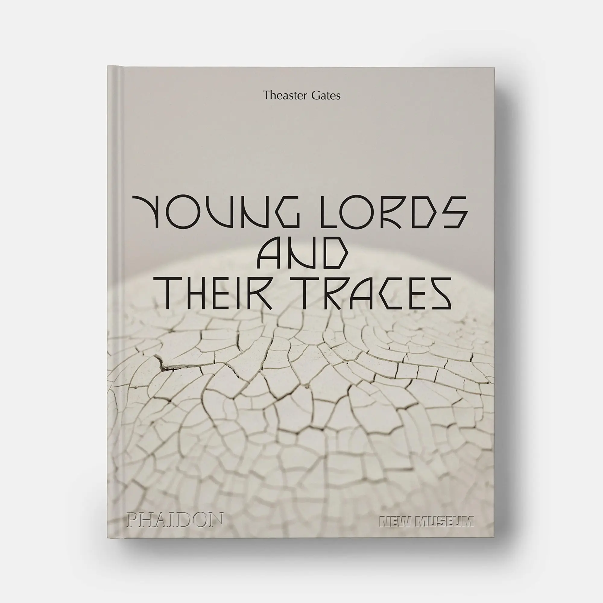 Bild: 9781838666101 | Theaster Gates | Young Lords and Their Traces | Gioni (u. a.) | Buch