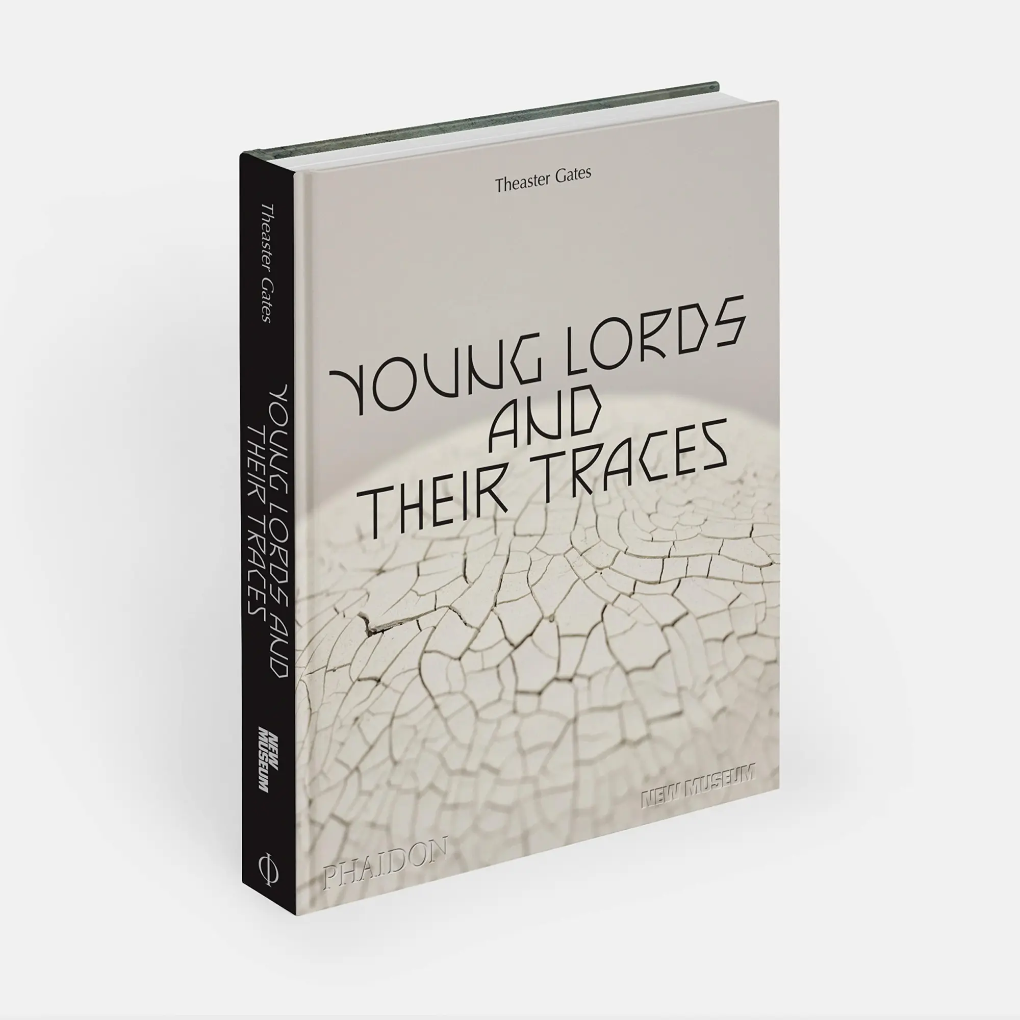 Bild: 9781838666101 | Theaster Gates | Young Lords and Their Traces | Gioni (u. a.) | Buch