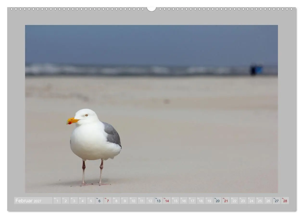 Bild: 9783569496101 | Juist - Kleine Insel, Große Freiheit (Wandkalender 2027 DIN A2...