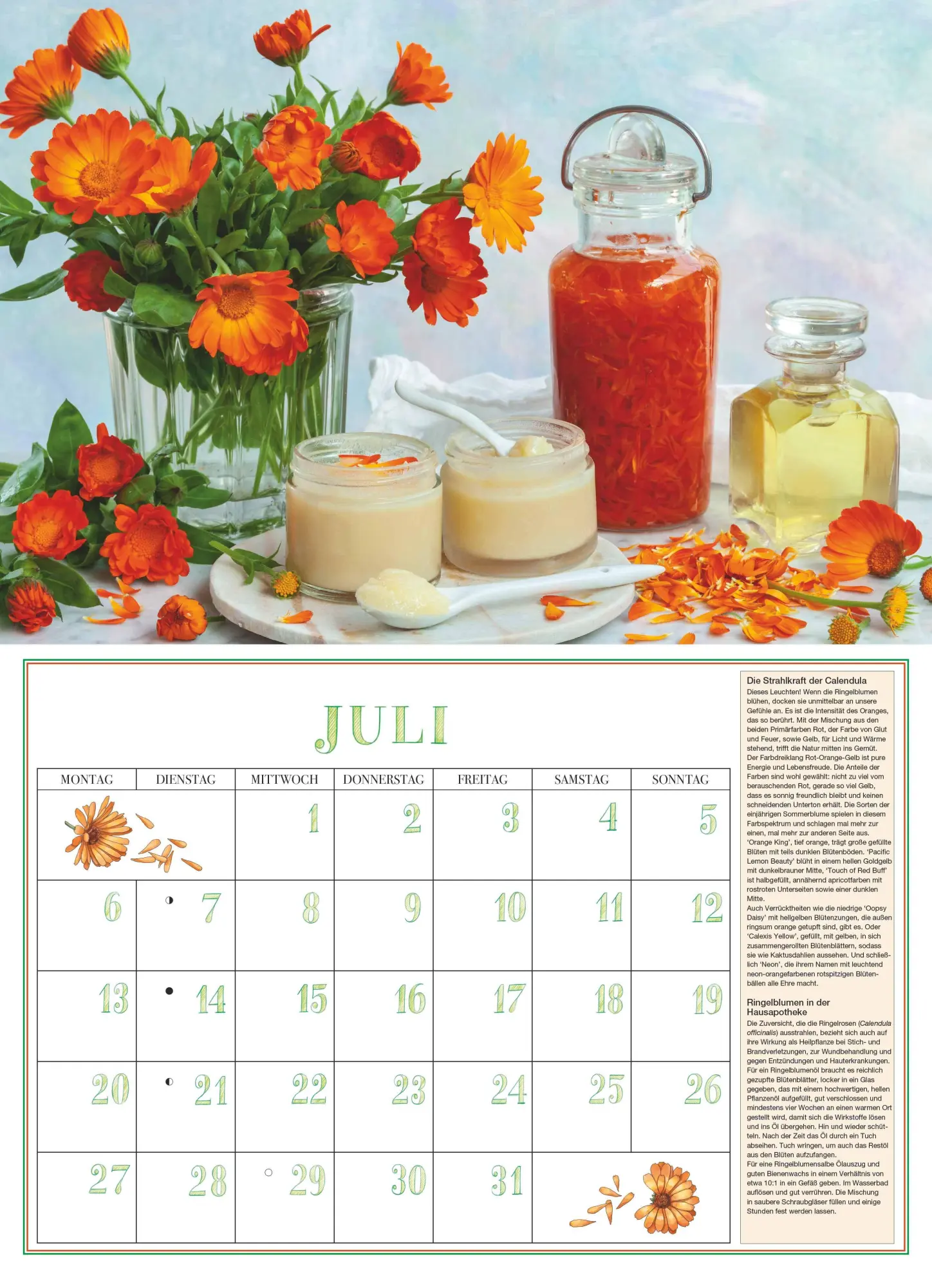 Bild: 4069095006201 | DUMONTS Aromatische Kräuter 2026 - Broschürenkalender -...