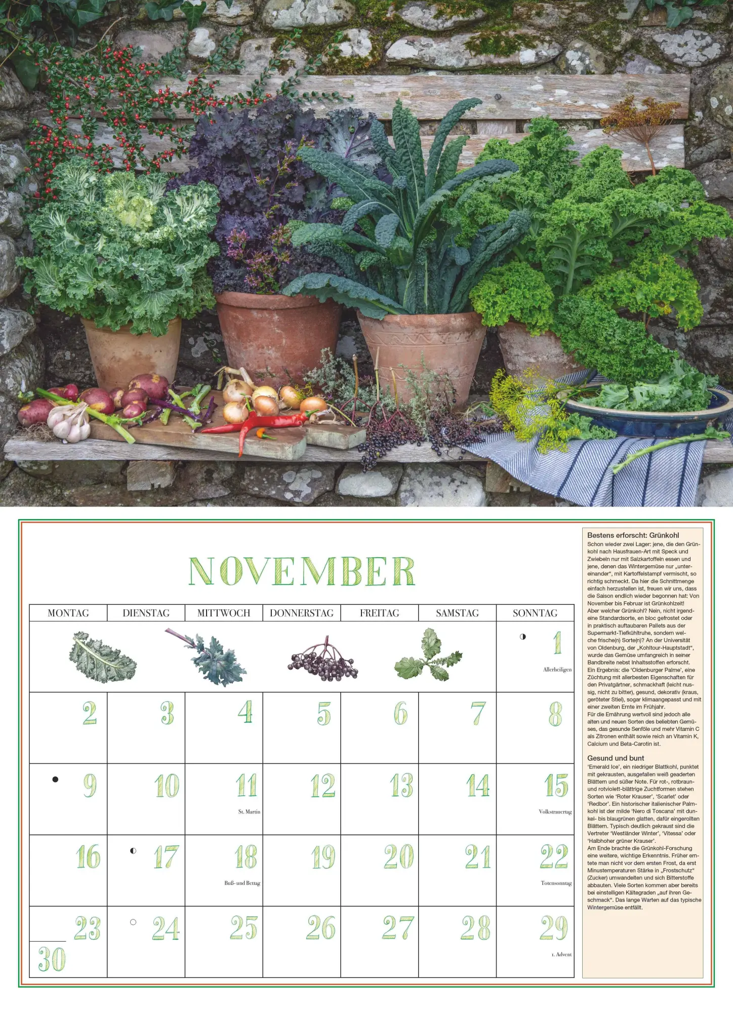 Bild: 4069095006201 | DUMONTS Aromatische Kräuter 2026 - Broschürenkalender -...