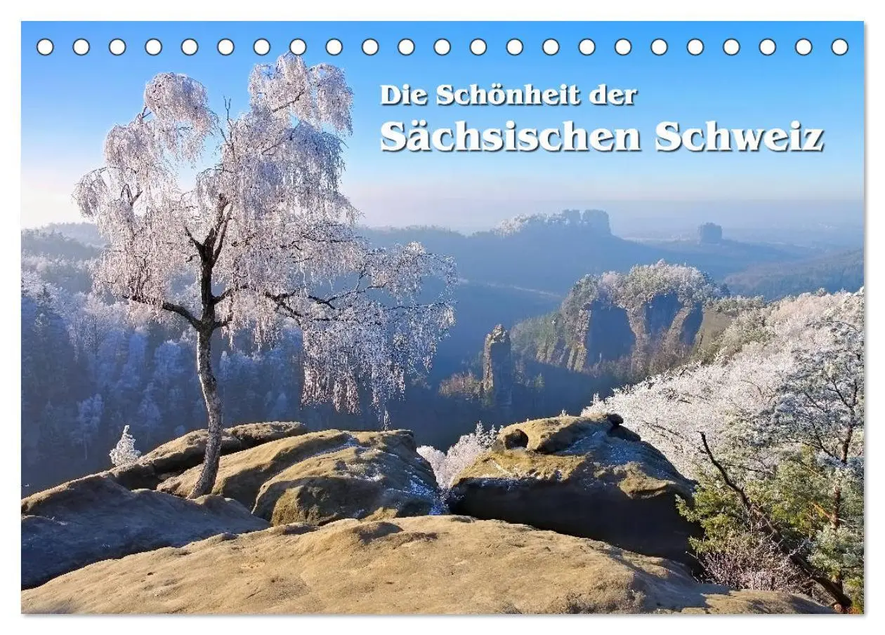 Cover: 9783457686201 | Die Schönheit der Sächsischen Schweiz (Tischkalender 2026 DIN A5...