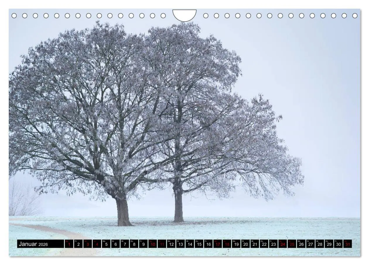 Bild: 9783457756201 | Mannheimer Impressionen. (Wandkalender 2026 DIN A4 quer), CALVENDO...