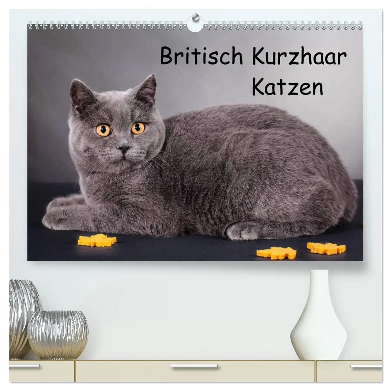 Cover: 9783516226201 | Britisch Kurzhaar Katzen (hochwertiger Premium Wandkalender 2026...