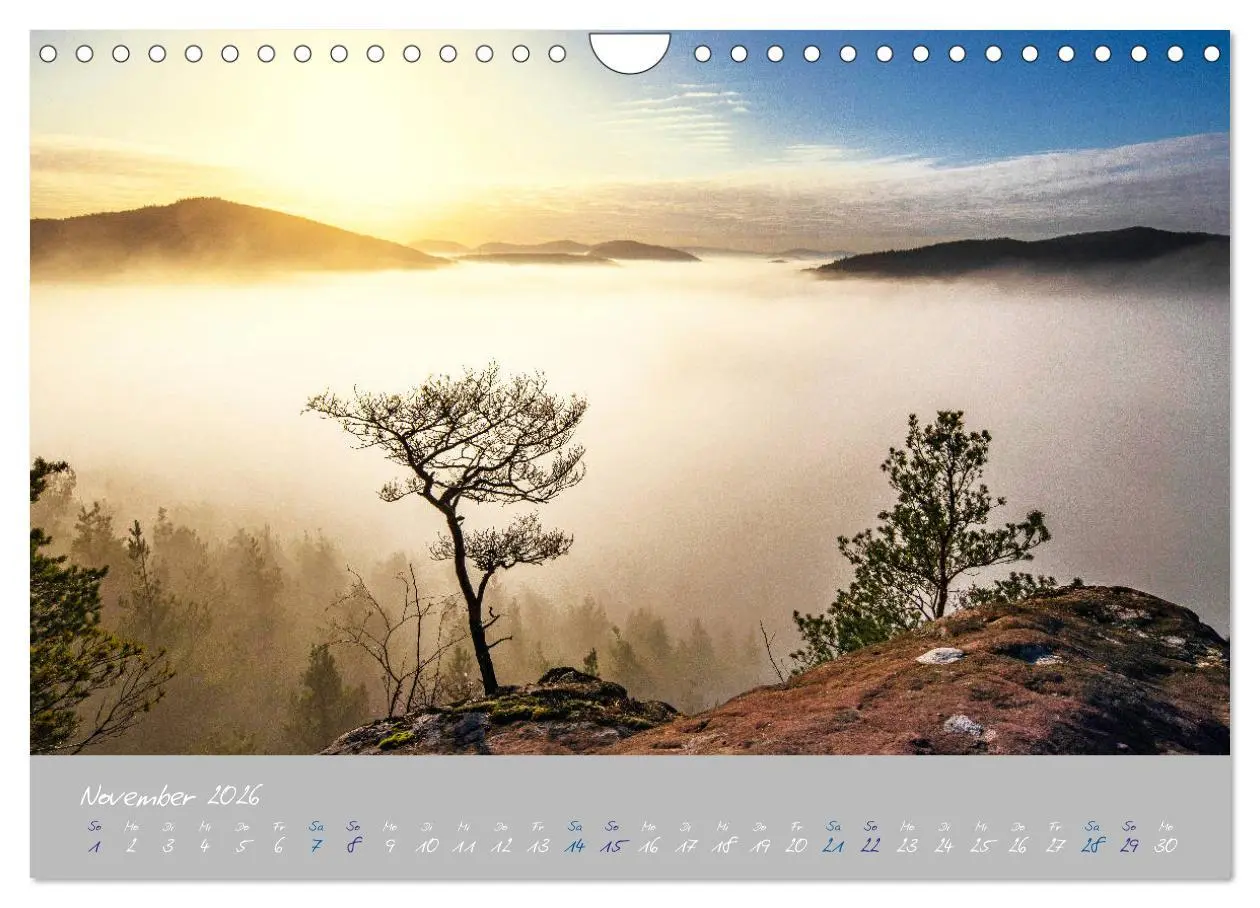 Bild: 9783457676301 | Ausflüge in der Heimat - Die Pfalz (Wandkalender 2026 DIN A4 quer),...