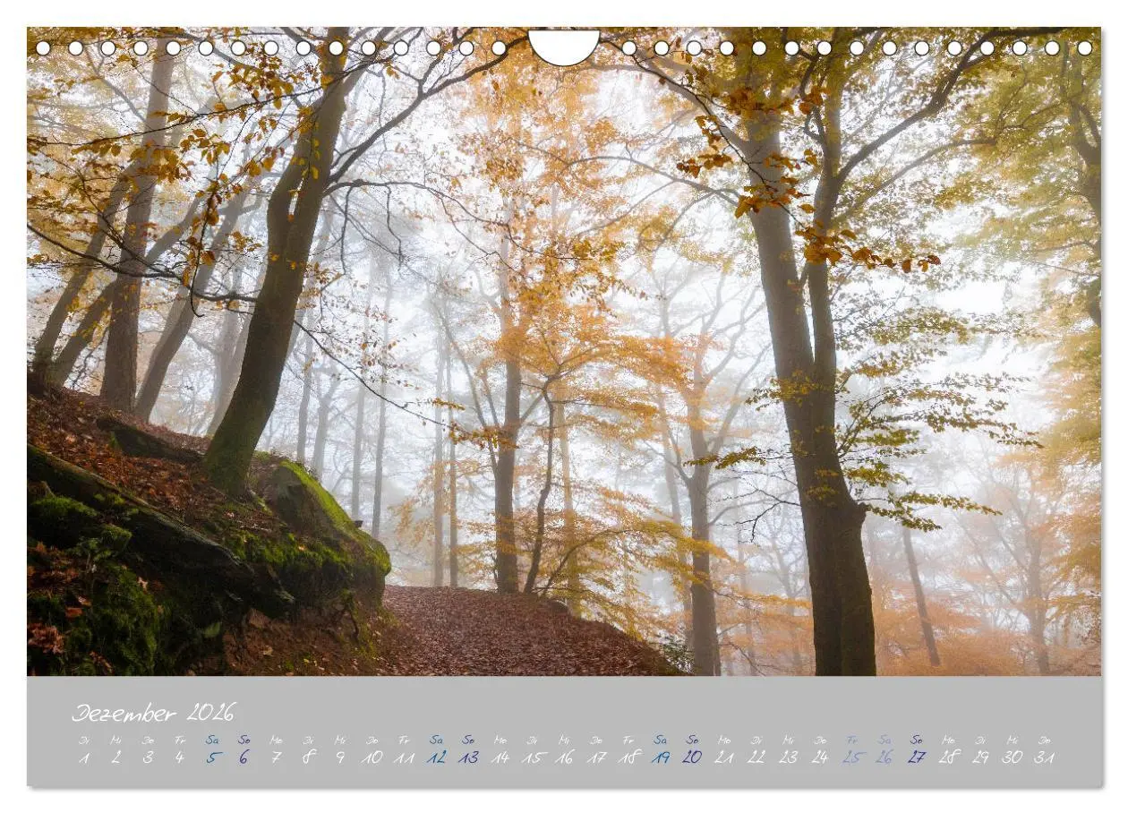 Bild: 9783457676301 | Ausflüge in der Heimat - Die Pfalz (Wandkalender 2026 DIN A4 quer),...