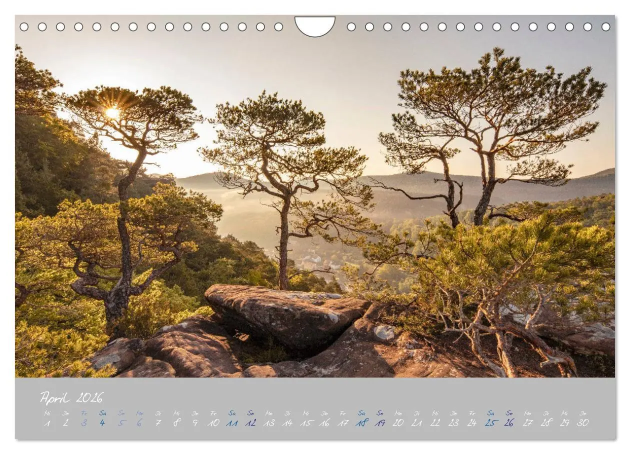 Bild: 9783457676301 | Ausflüge in der Heimat - Die Pfalz (Wandkalender 2026 DIN A4 quer),...
