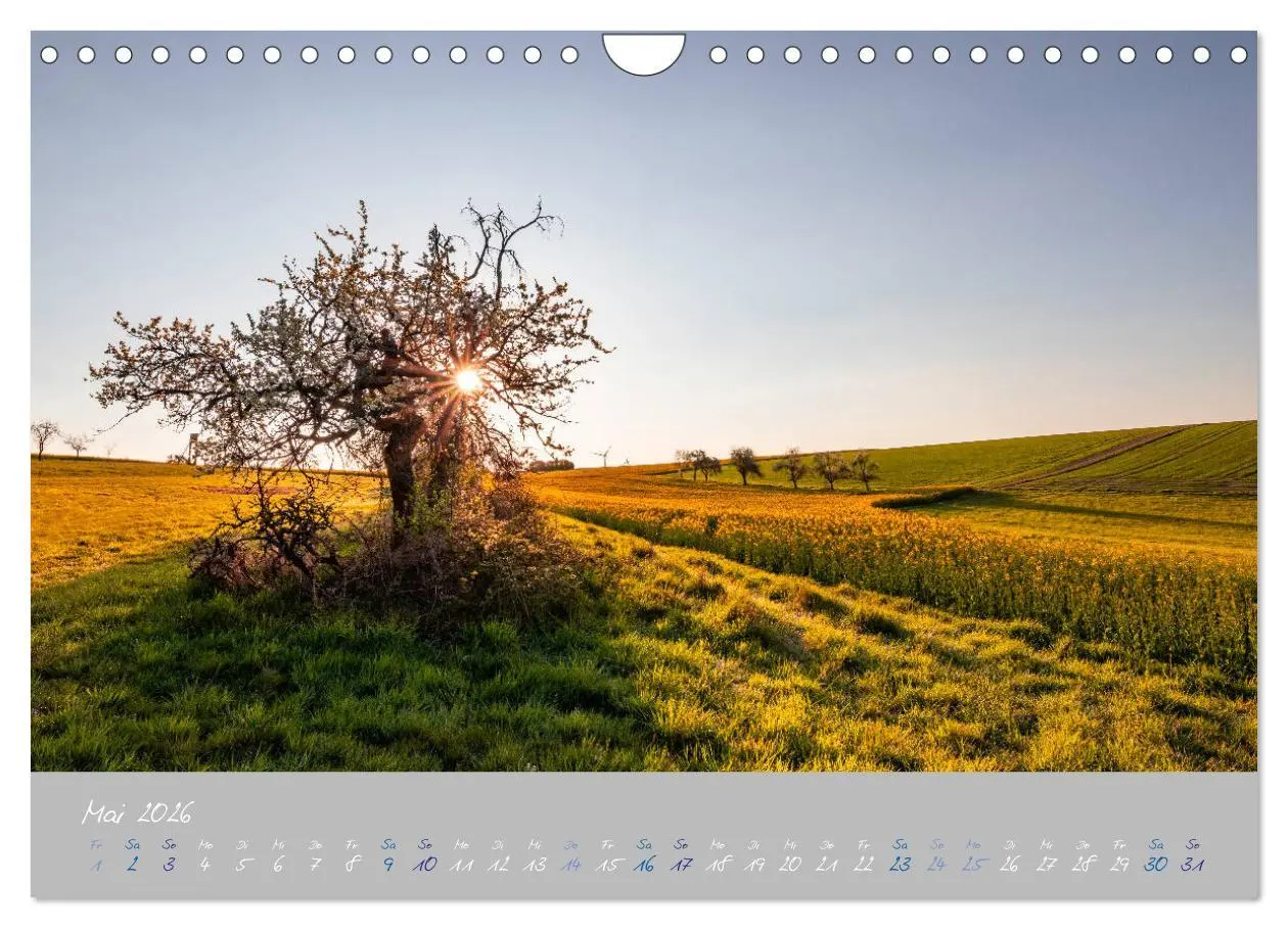 Bild: 9783457676301 | Ausflüge in der Heimat - Die Pfalz (Wandkalender 2026 DIN A4 quer),...