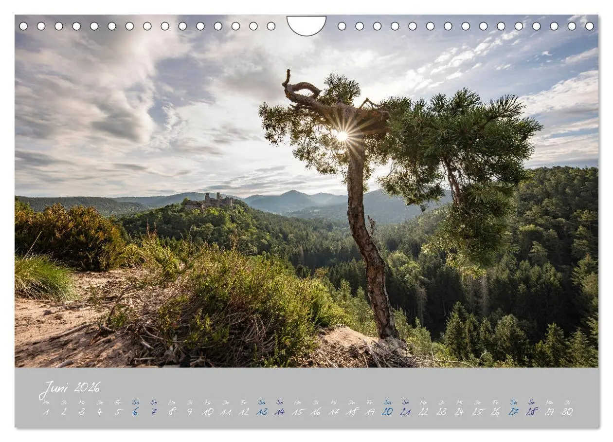 Bild: 9783457676301 | Ausflüge in der Heimat - Die Pfalz (Wandkalender 2026 DIN A4 quer),...