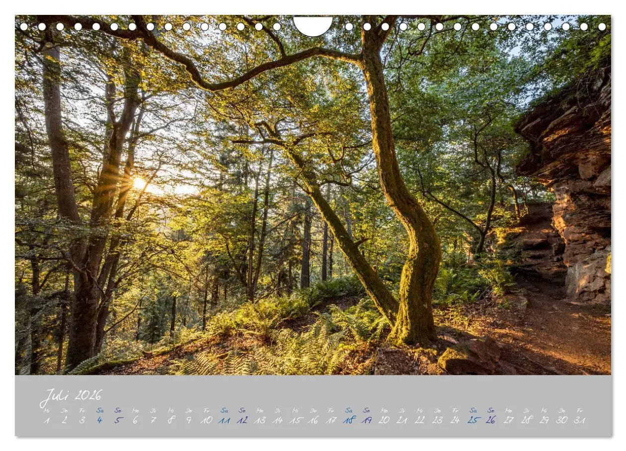 Bild: 9783457676301 | Ausflüge in der Heimat - Die Pfalz (Wandkalender 2026 DIN A4 quer),...