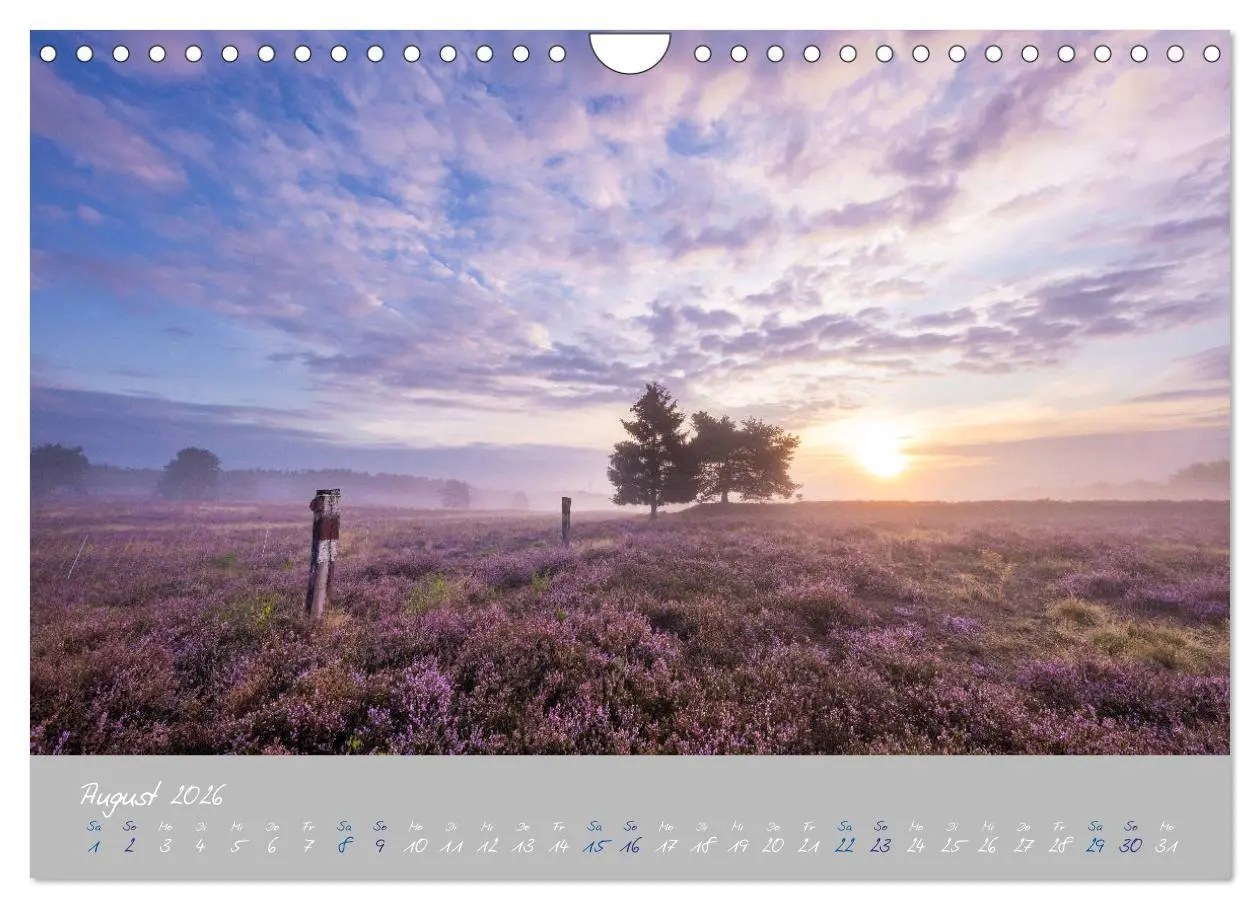 Bild: 9783457676301 | Ausflüge in der Heimat - Die Pfalz (Wandkalender 2026 DIN A4 quer),...