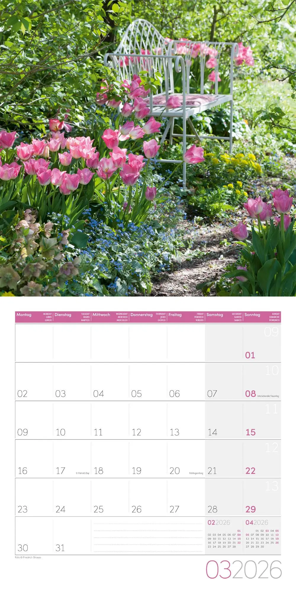 Bild: 9783838446301 | In meinem Garten Broschürenkalender 2026 - 30x30 - Art12 | GmbH | 2026