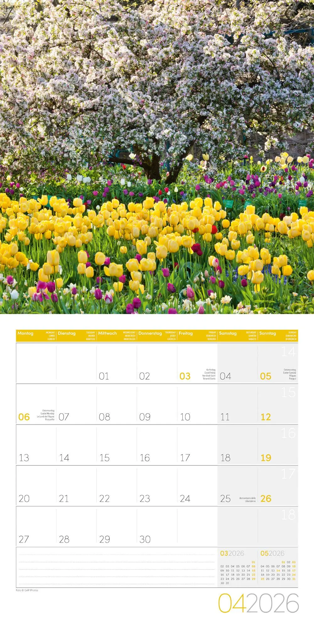 Bild: 9783838446301 | In meinem Garten Broschürenkalender 2026 - 30x30 - Art12 | GmbH | 2026