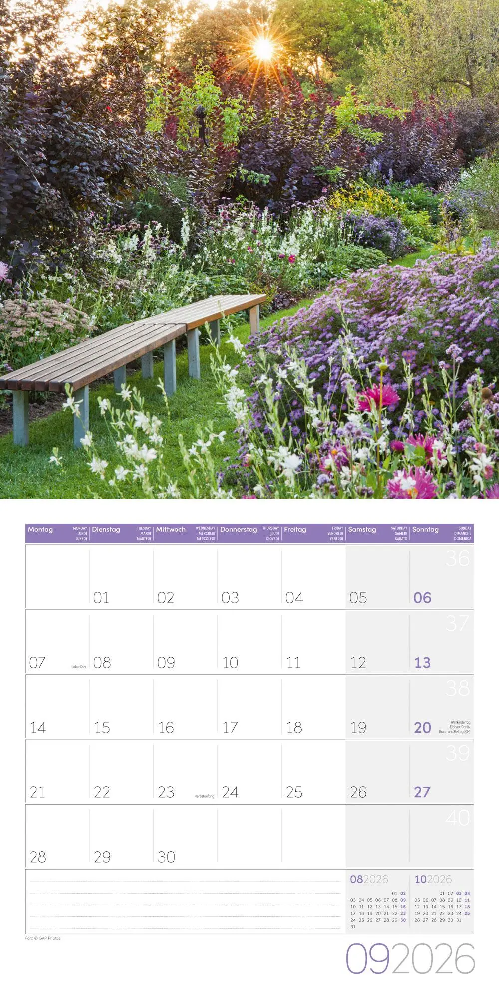 Bild: 9783838446301 | In meinem Garten Broschürenkalender 2026 - 30x30 - Art12 | GmbH | 2026