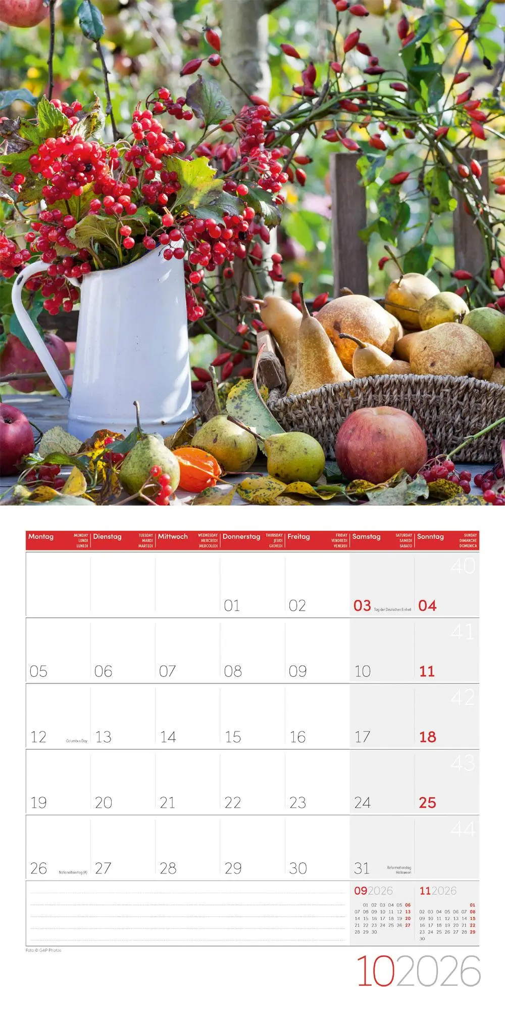 Bild: 9783838446301 | In meinem Garten Broschürenkalender 2026 - 30x30 - Art12 | GmbH | 2026