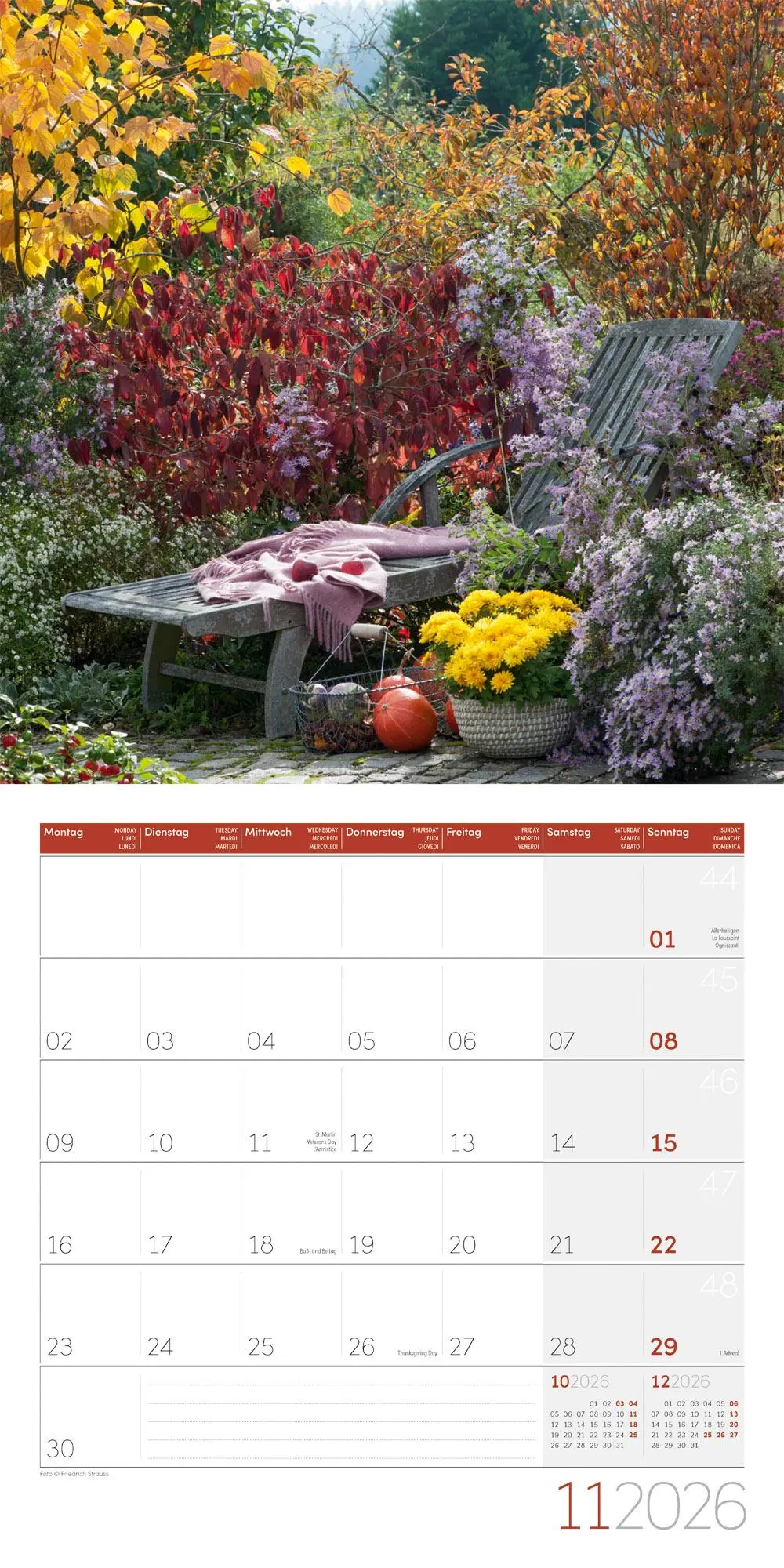 Bild: 9783838446301 | In meinem Garten Broschürenkalender 2026 - 30x30 - Art12 | GmbH | 2026