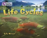 Cover: 9780007336401 | Life Cycles | Band 16/Sapphire | Sally Morgan | Taschenbuch | Englisch