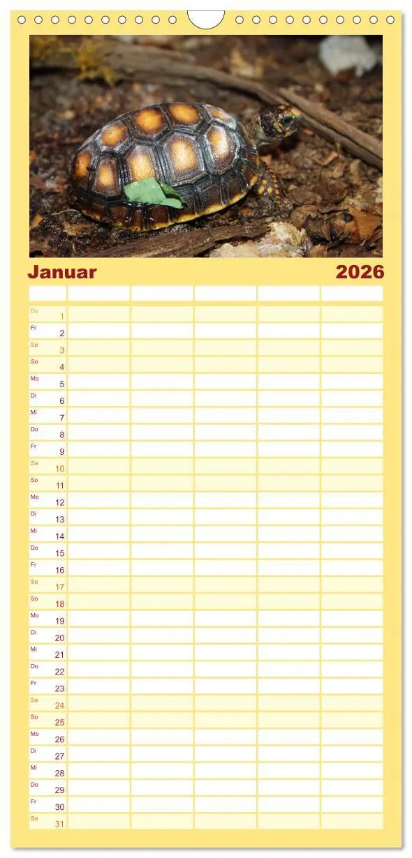 Bild: 9783516516401 | Familienplaner 2026 - Schildkröten - Gepanzerte Urzeitwesen mit 5...