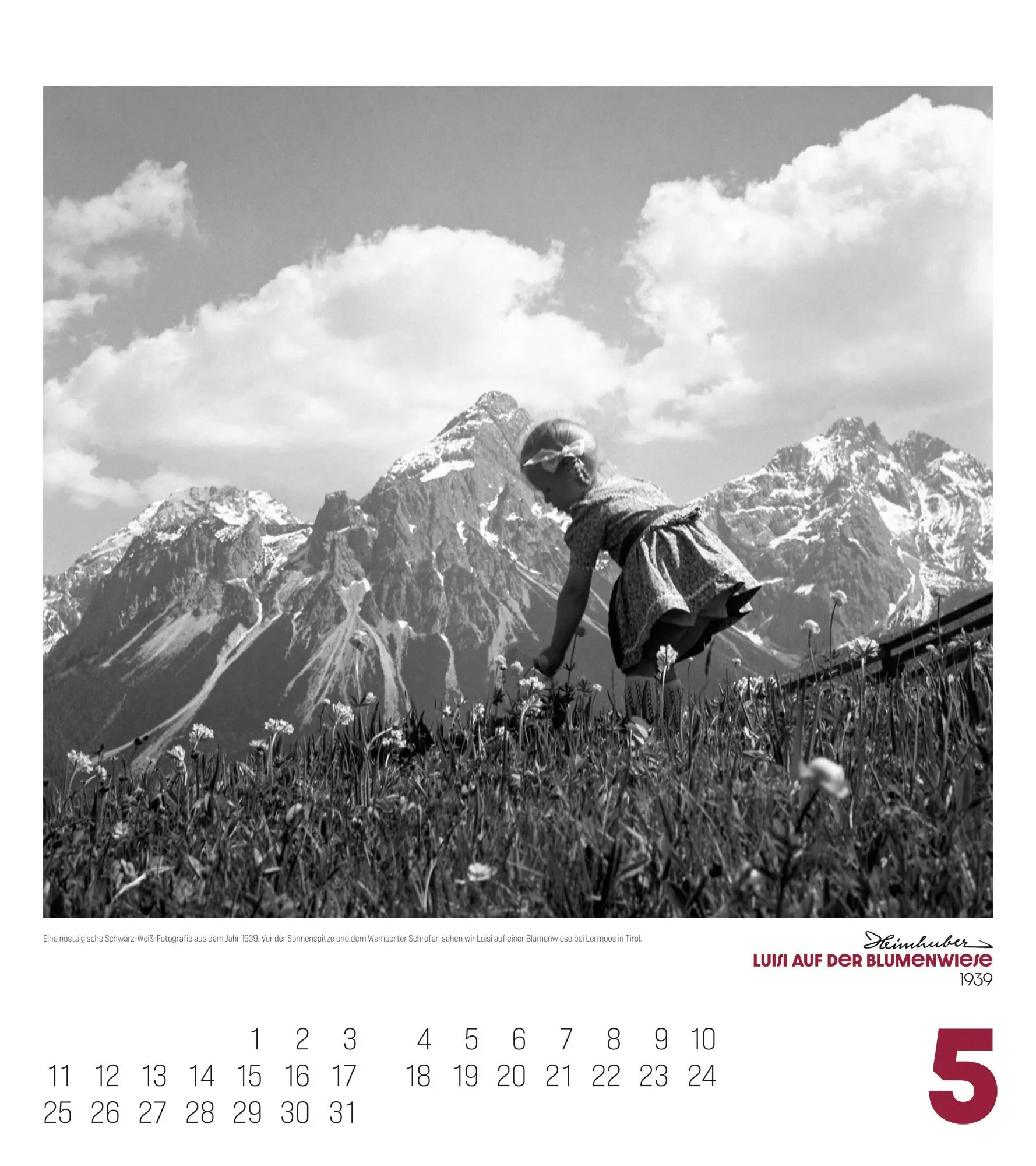Bild: 9783838436401 | Alpengeschichten Kalender 2026 | Heimhuber (u. a.) | Kalender | 14 S.