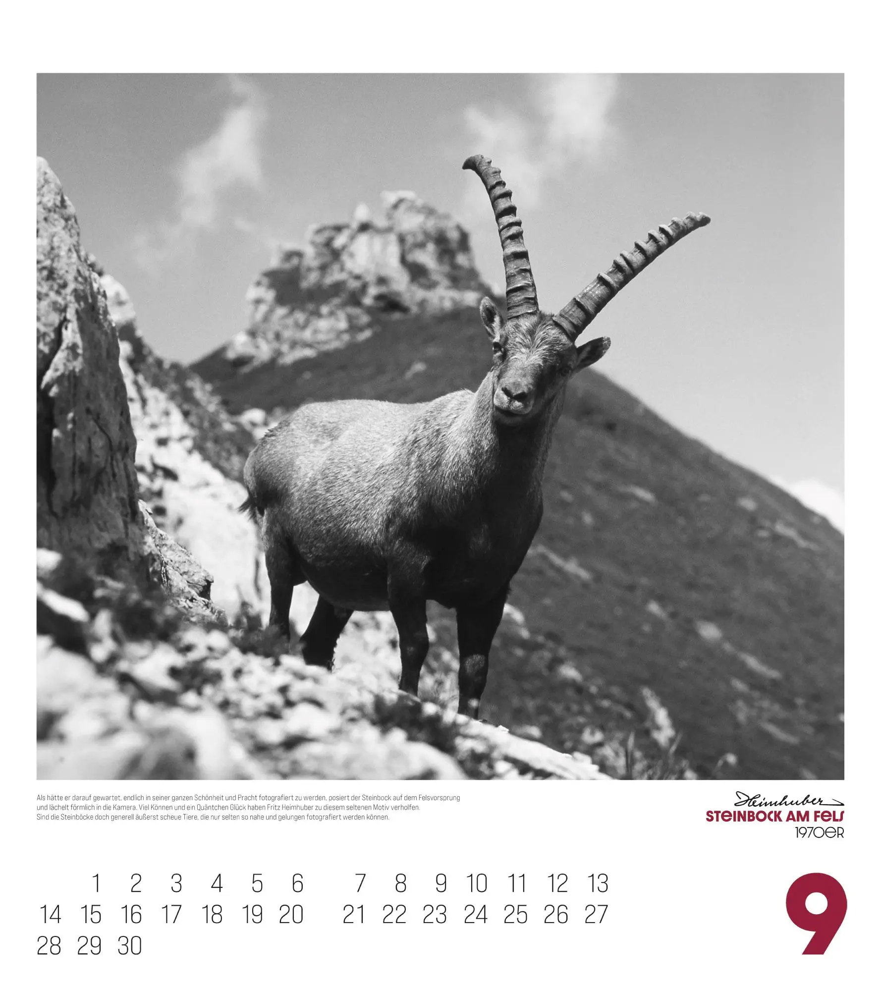 Bild: 9783838436401 | Alpengeschichten Kalender 2026 | Heimhuber (u. a.) | Kalender | 14 S.