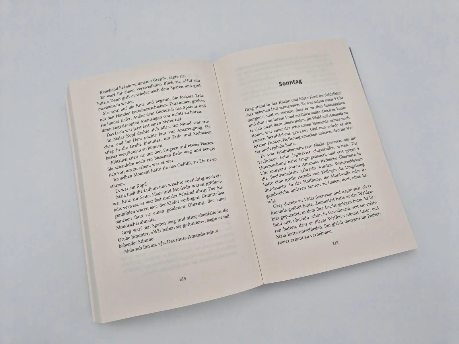 Bild: 9783492066501 | Julimord | Kriminalroman Der Bestseller aus Schweden | Emelie Schepp