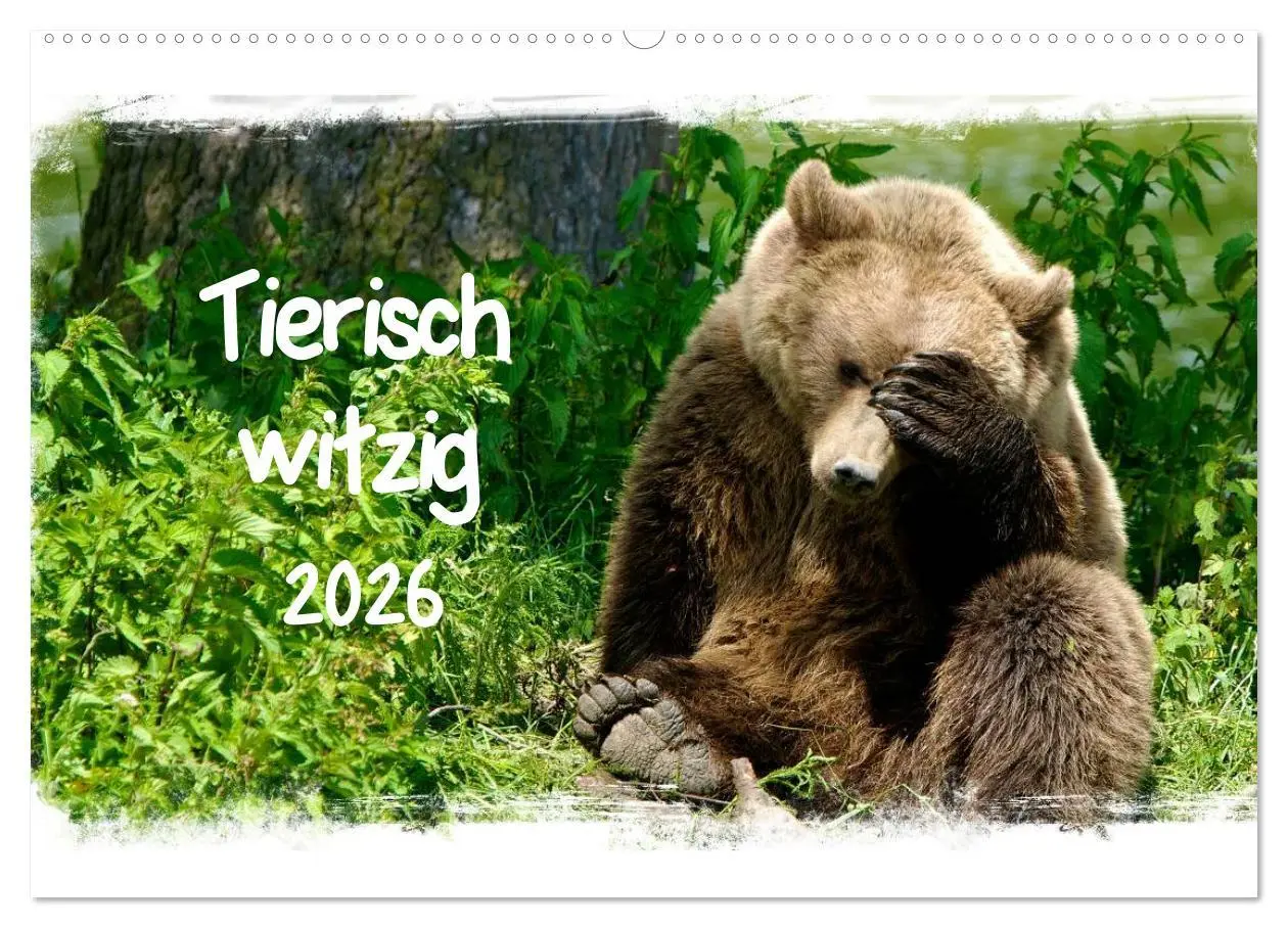 Cover: 9783516056501 | Tierisch witzig (Wandkalender 2026 DIN A2 quer), CALVENDO...
