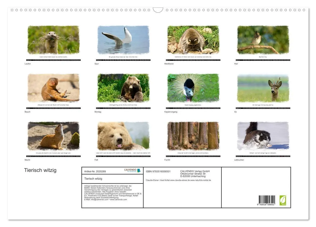 Bild: 9783516056501 | Tierisch witzig (Wandkalender 2026 DIN A2 quer), CALVENDO...