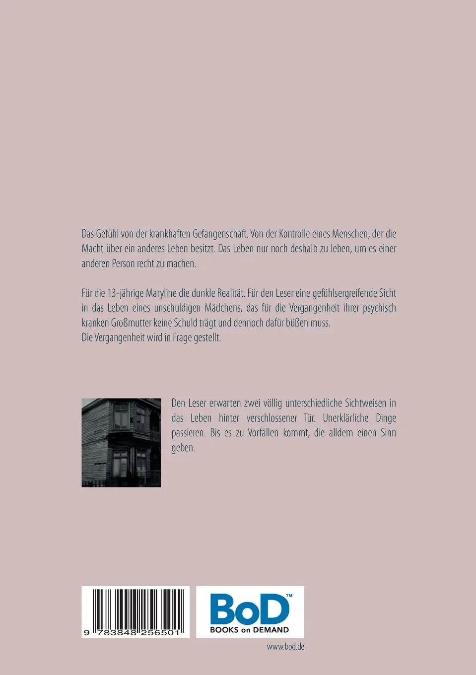Rückseite: 9783848256501 | Leave the Past Alone | Das Leben hinter verschlossener Tür | Albo