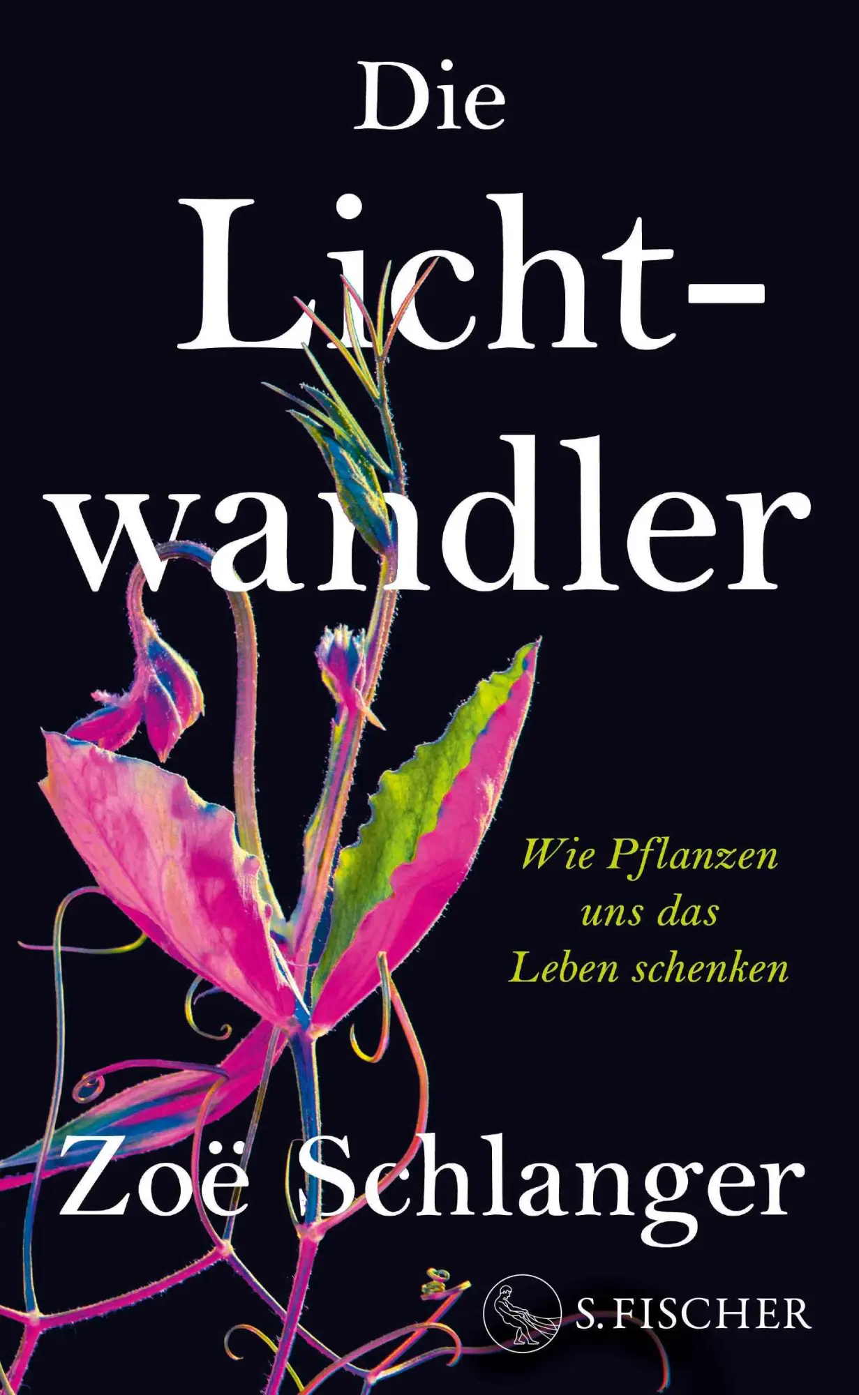 Cover: 9783103976601 | Die Lichtwandler | Wie Pflanzen uns das Leben schenken | Zoë Schlanger Cover: 9783103976601 | Die Lichtwandler | Wie Pflanzen uns das Leben schenken | Zoë Schlanger