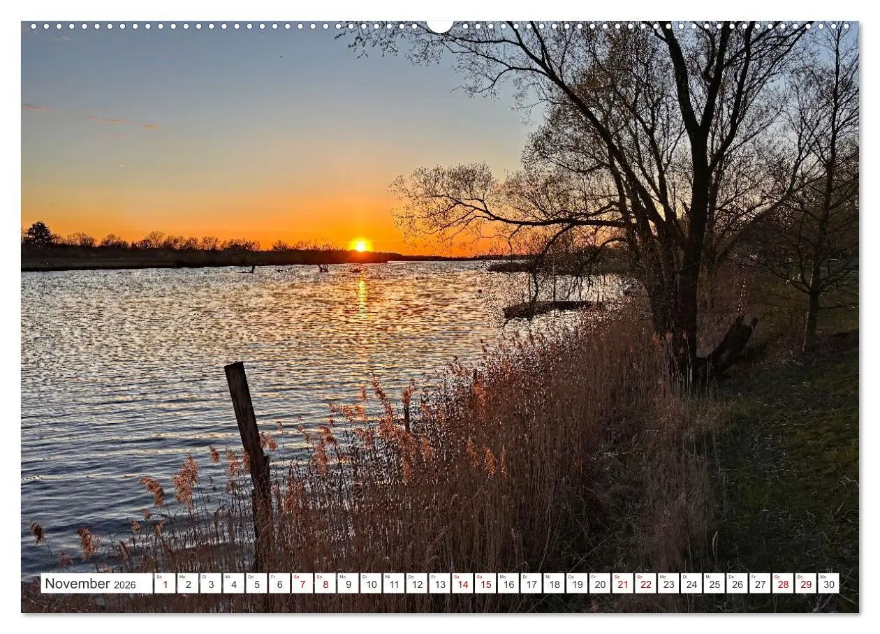 Bild: 9783457646601 | Wildes Wendland (Wandkalender 2026 DIN A2 quer), CALVENDO...