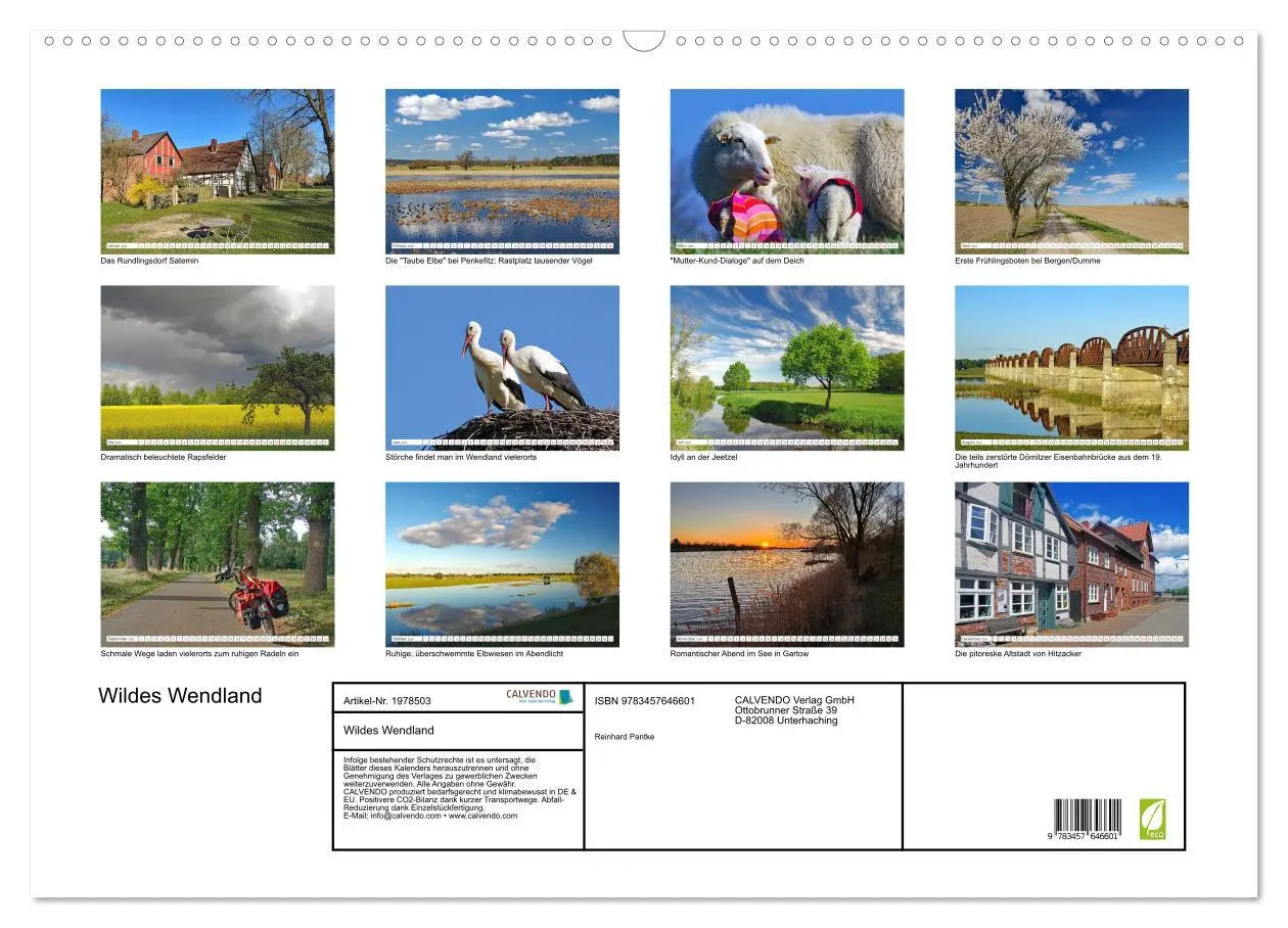 Bild: 9783457646601 | Wildes Wendland (Wandkalender 2026 DIN A2 quer), CALVENDO...